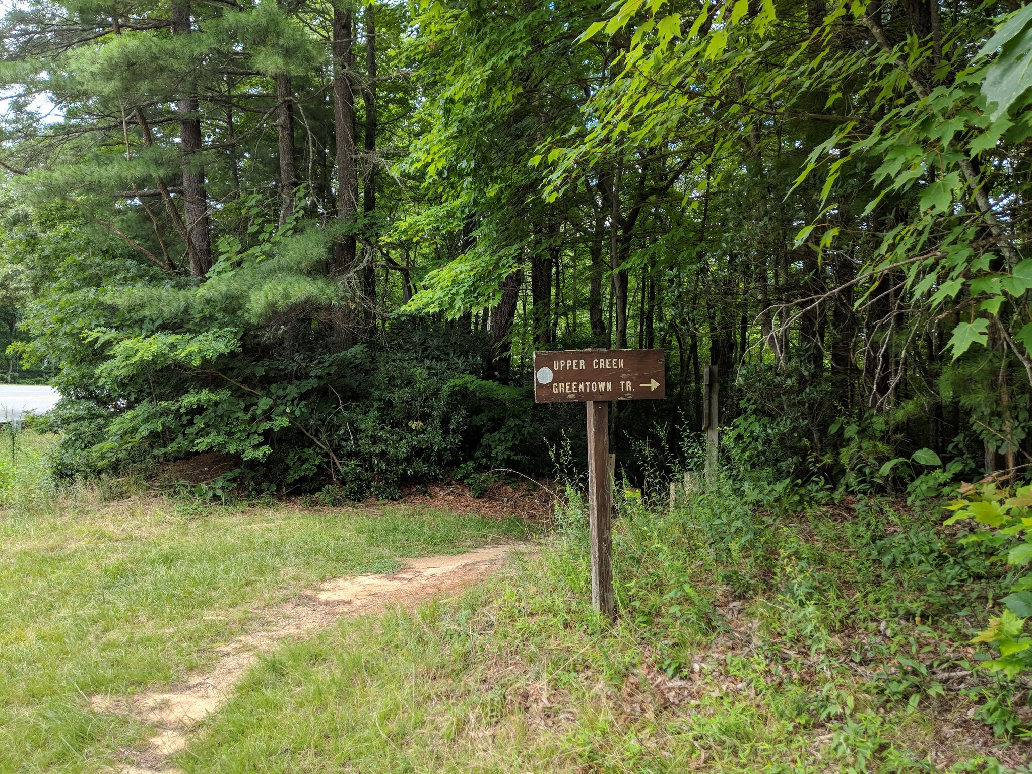 A trail sign stands on a grassy path leading into a vibrant green forest. - Greentown Trail