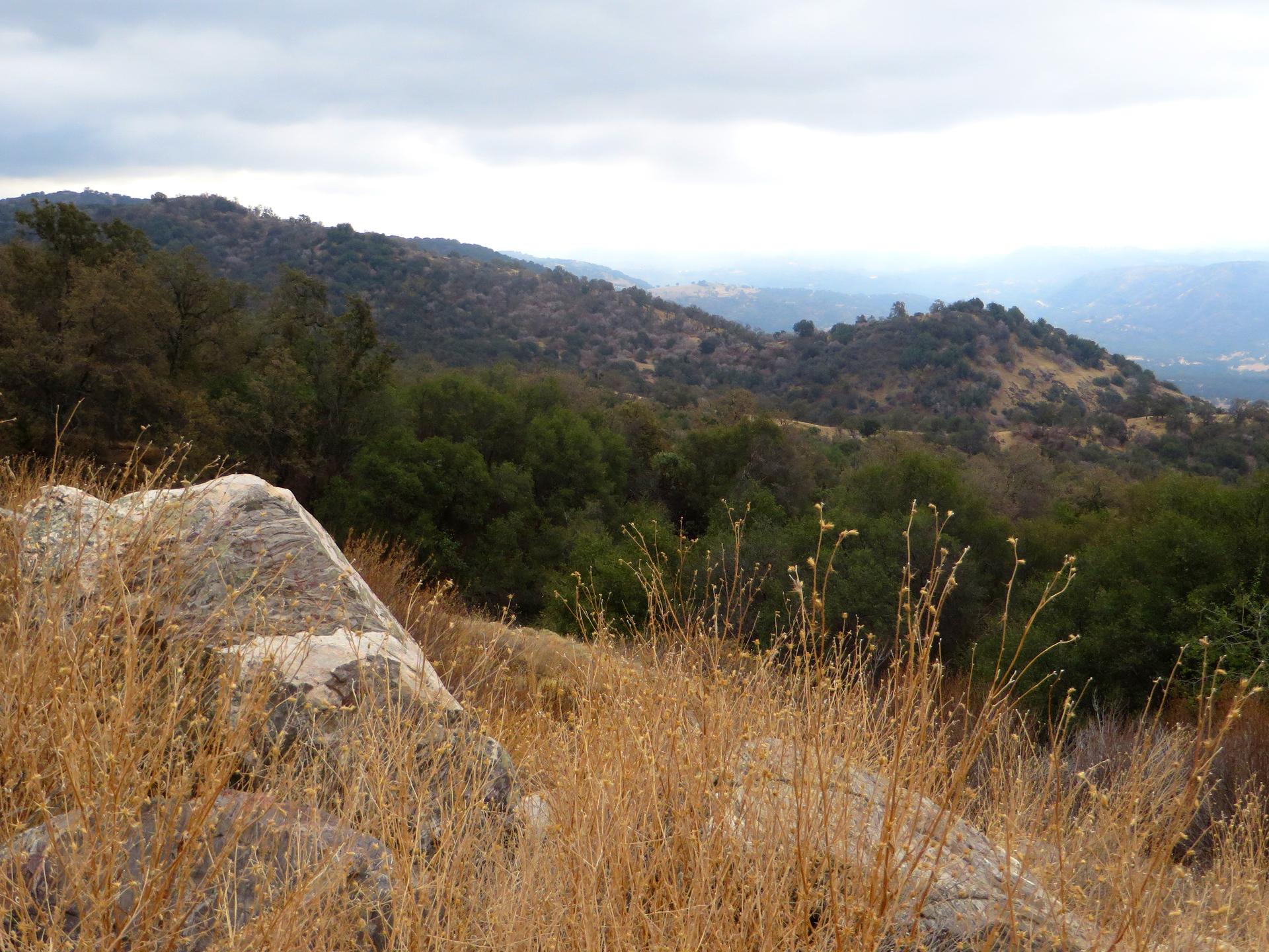 Dry grass and rocks in foreground, with rolling green hills under an overcast sky.