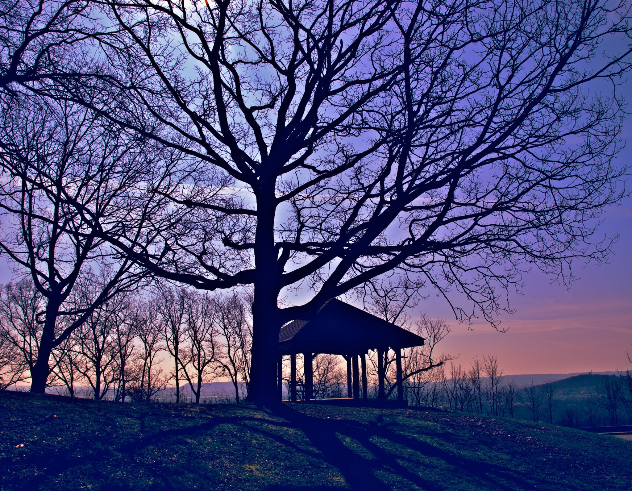 Silhouetted tree and gazebo against a vibrant purple and orange twilight sky. - Iroquois Park Scenic Loop