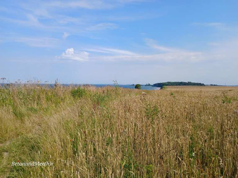 Narrow Cliffside Trail Overlooking the Baltic Sea - Cycle Routes and ...