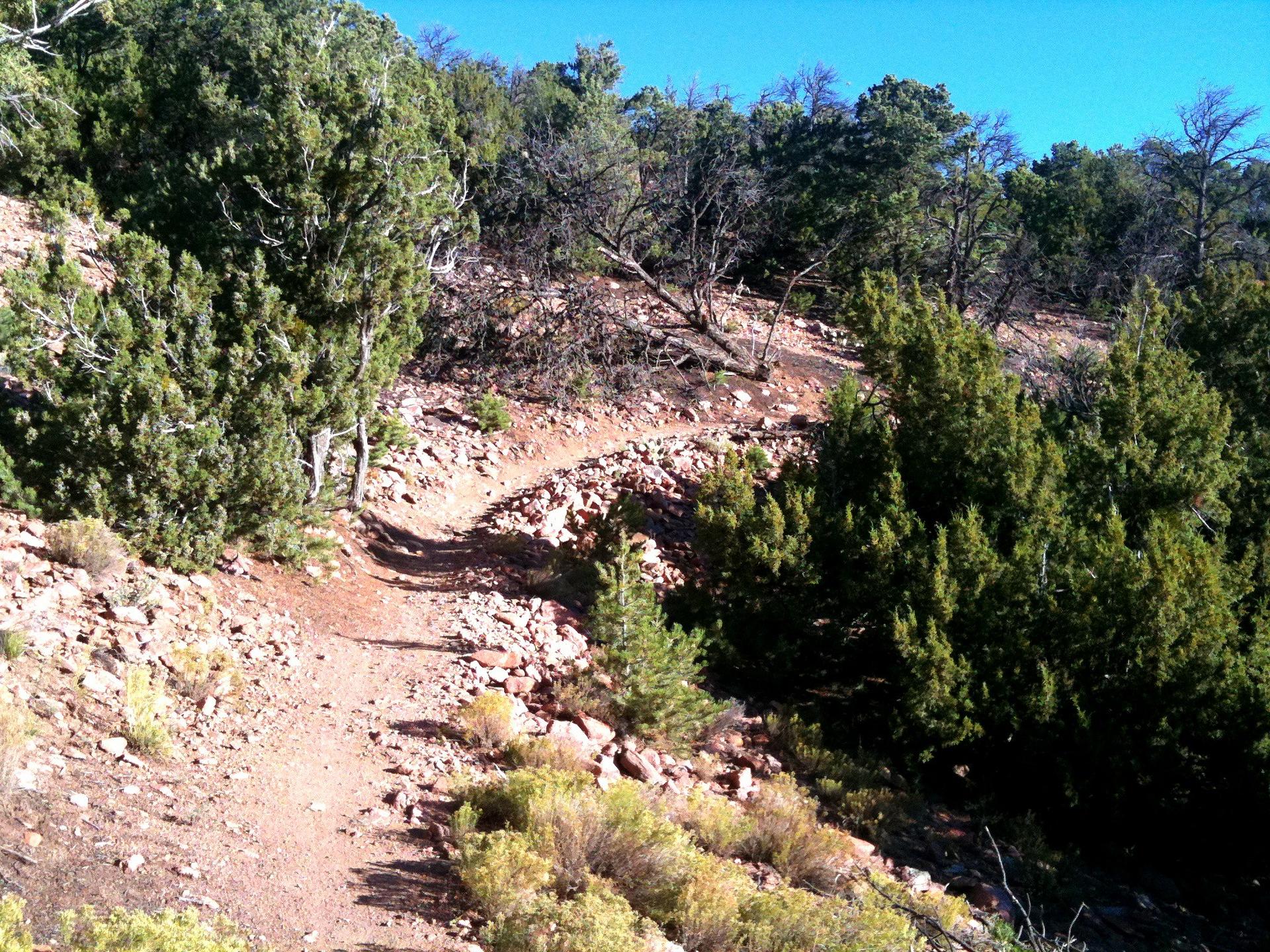 A winding dirt trail ascends a rocky, tree-covered hillside under clear skies.