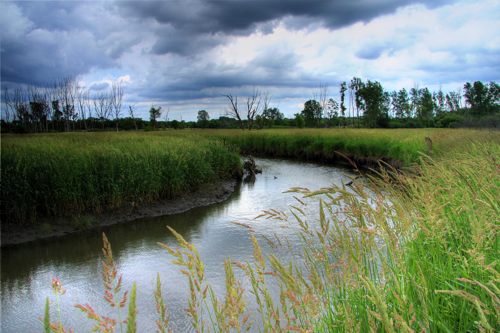 Winding river through tall green grass under a dramatic, cloudy sky.