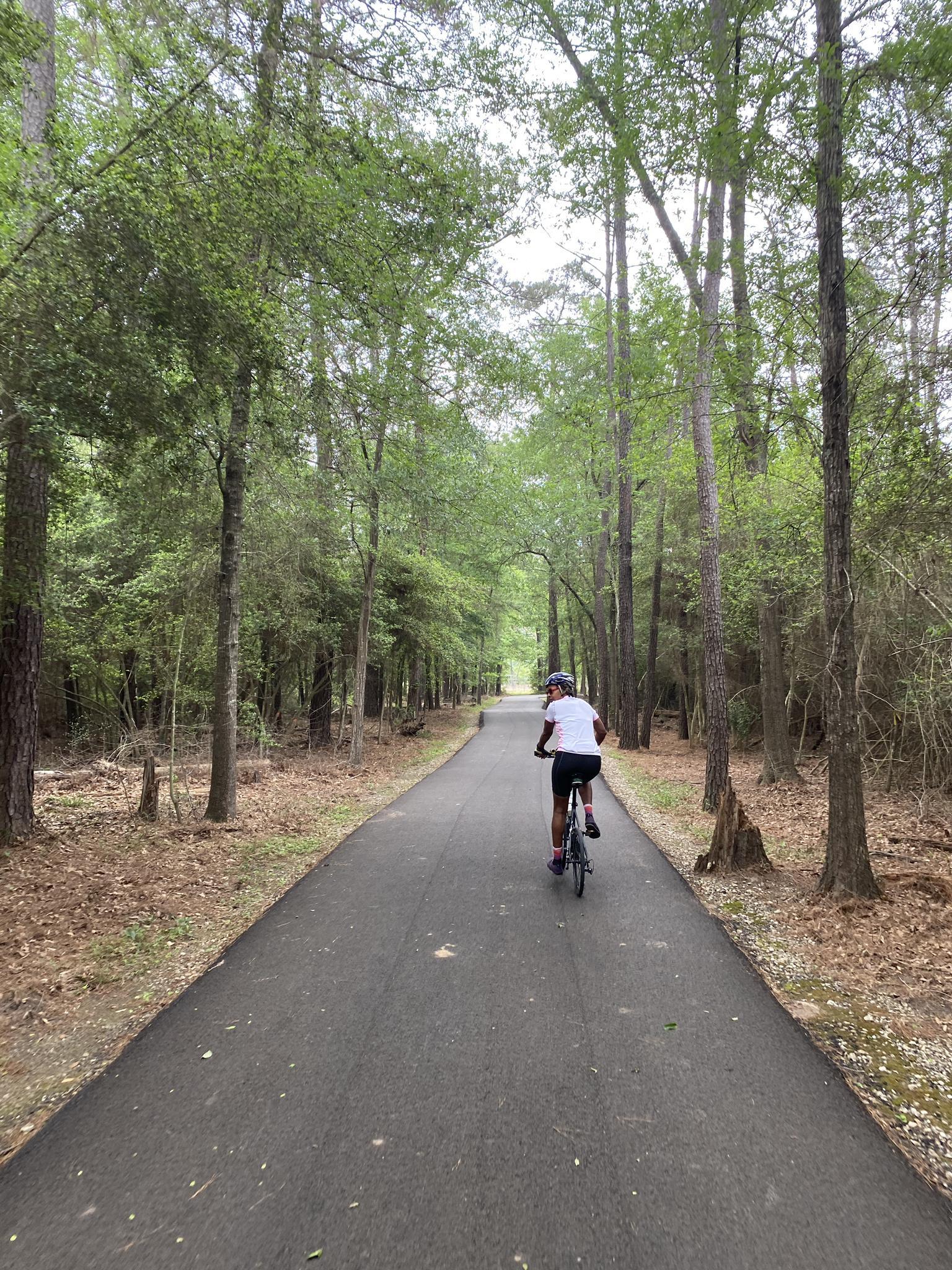 A person cycles down a paved path lined with tall green trees.