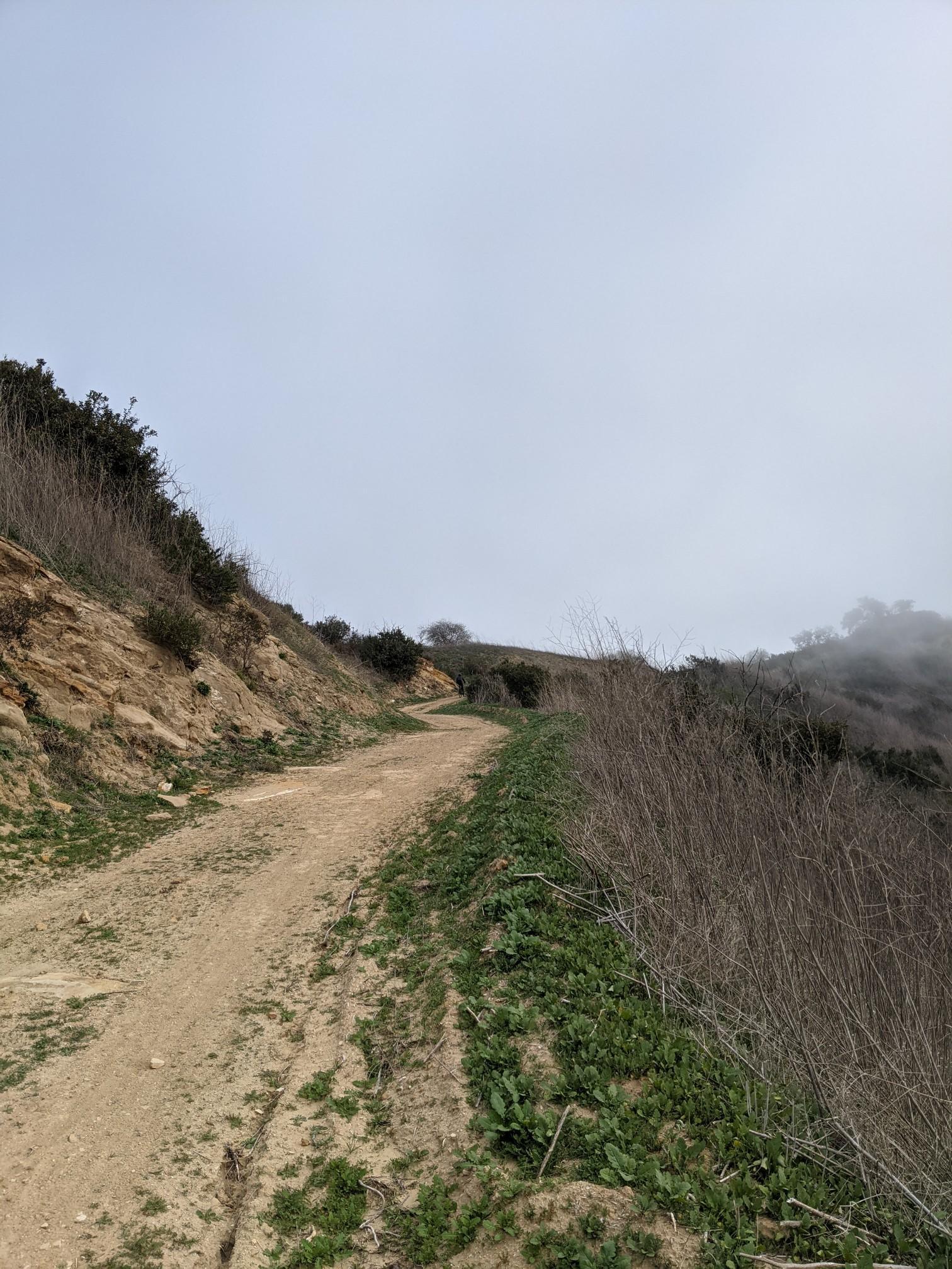 A winding dirt path ascends a misty, grassy hillside under an overcast sky.