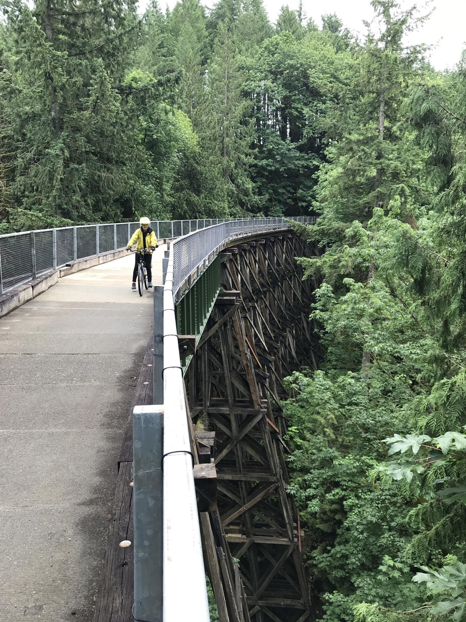 Cyclist on a curved bridge over a dense green forest.