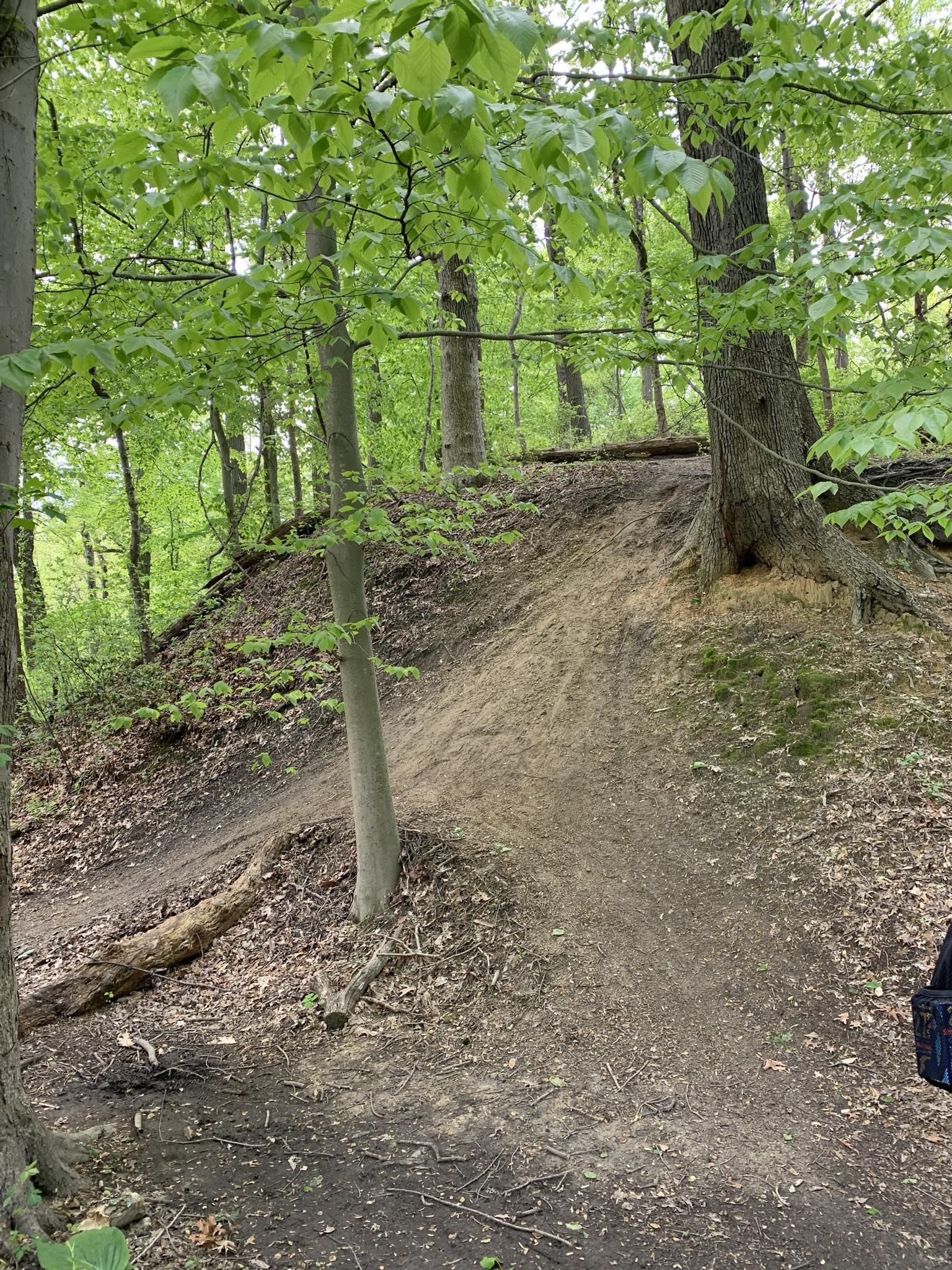 A dirt trail winds steeply up a wooded hill under bright daylight.