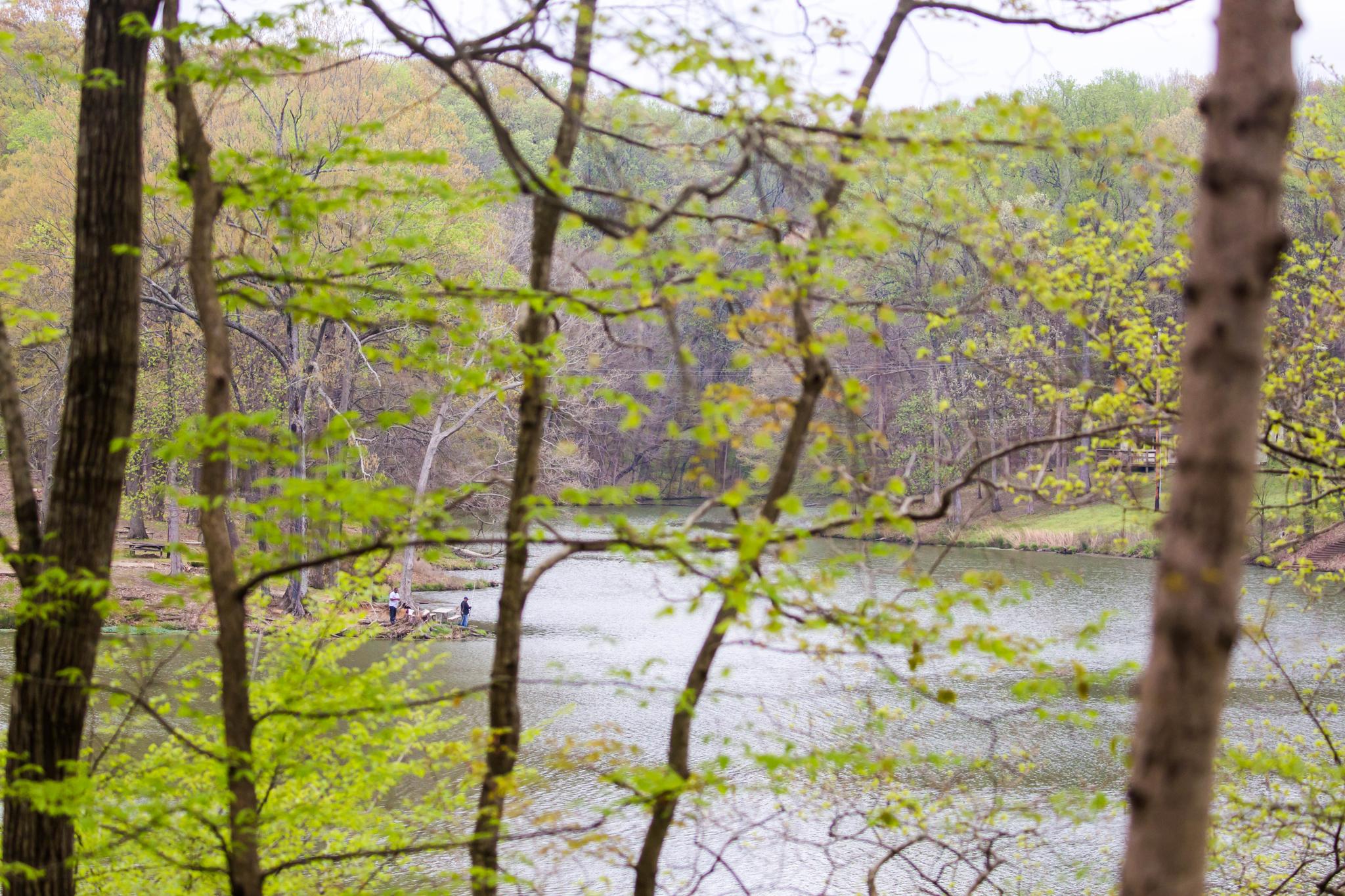 Forested lake with people on the bank, seen through spring foliage.