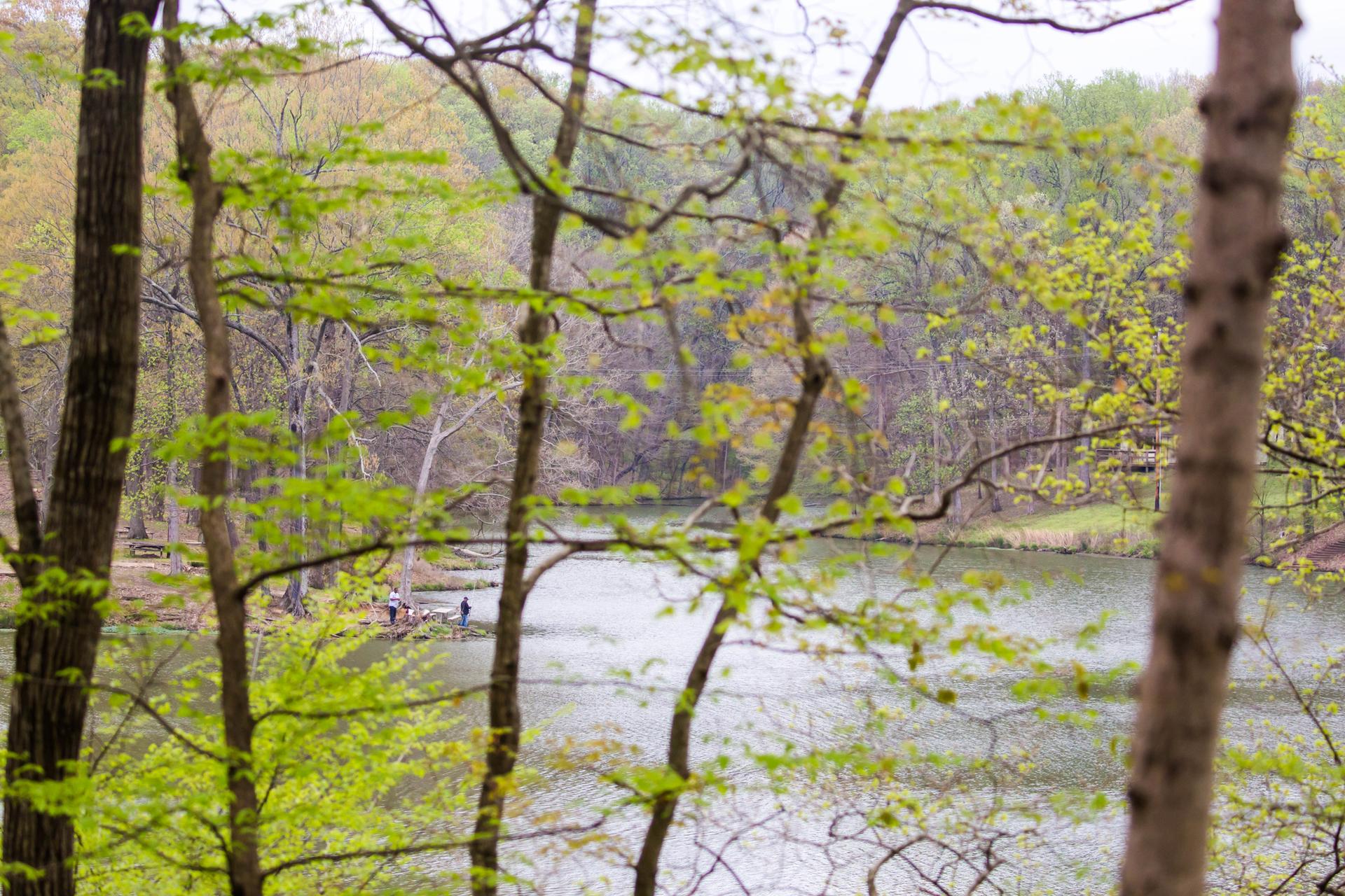 Forested lake with people on the bank, seen through spring foliage.