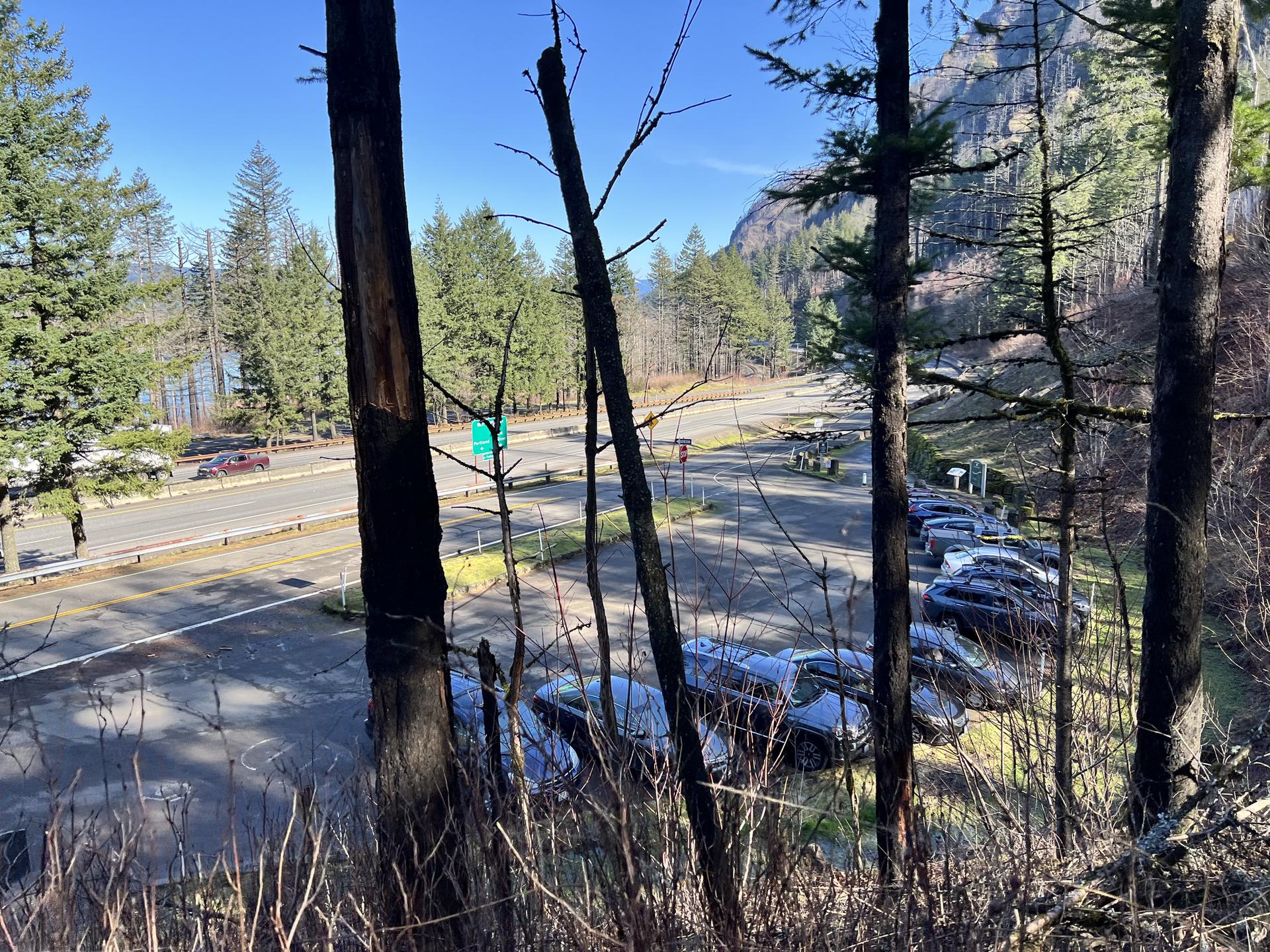 A parking lot and highway seen through trees on a sunny day.