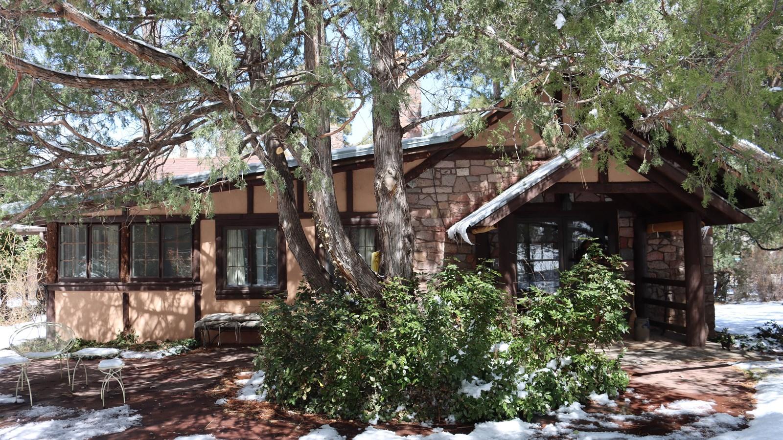 Stone and wood house partially covered by a large tree, with snow on the ground.