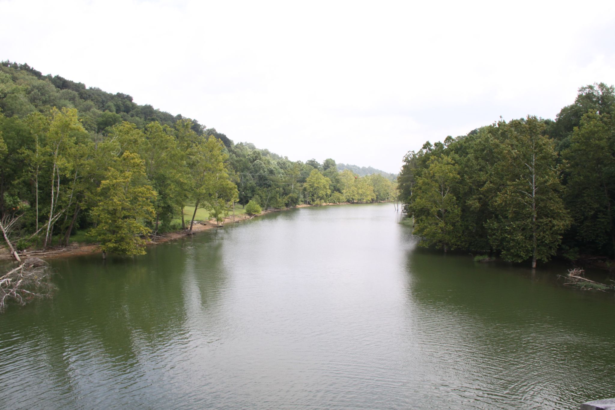A wide river flows between densely forested hills under an overcast sky. - Damascus City Park – Holston River Confluence loop from Damascus