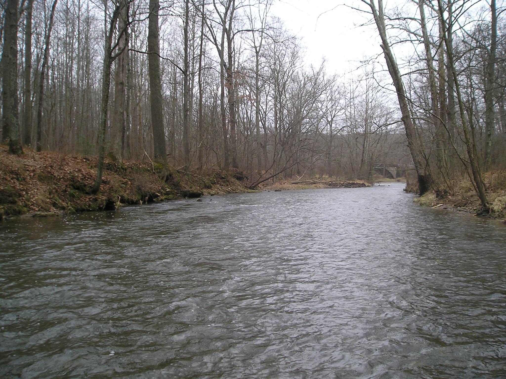 Overcast view of a wide river flowing through a bare winter forest.