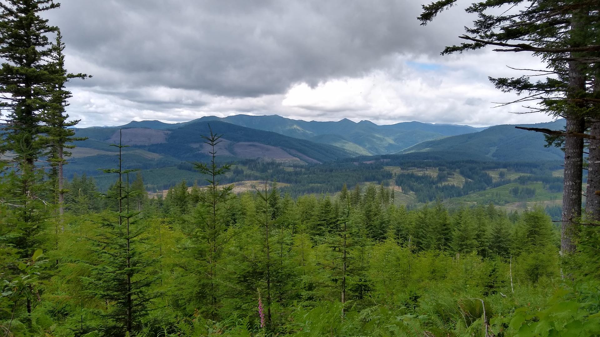 Panoramic view of forested mountains and valleys under a cloudy sky.
