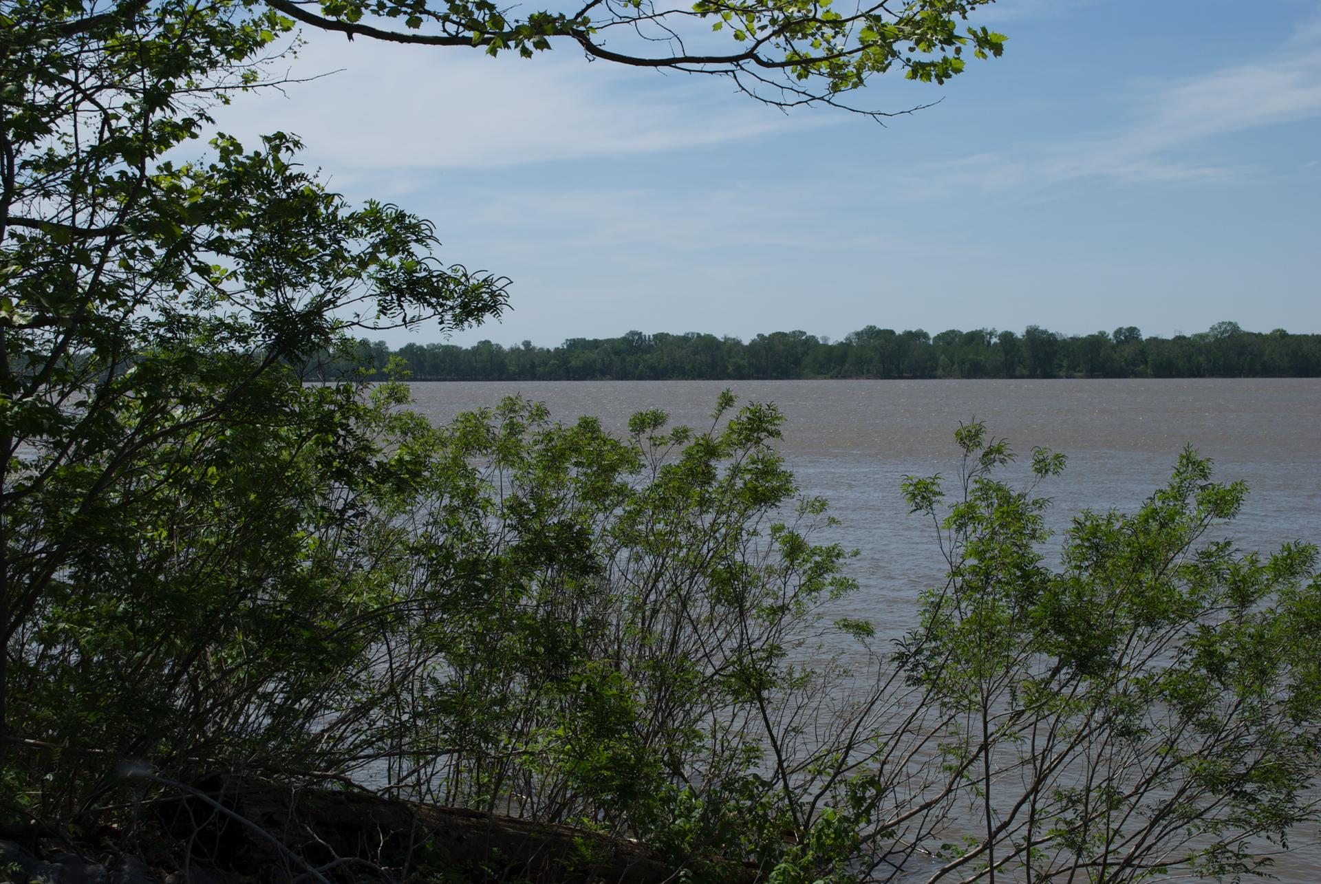Green foliage frames a wide river under a bright, partly cloudy sky.