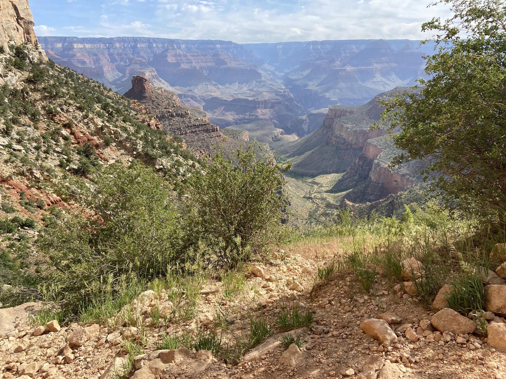 Rocky trail overlooking a deep canyon with green vegetation, bright daylight.