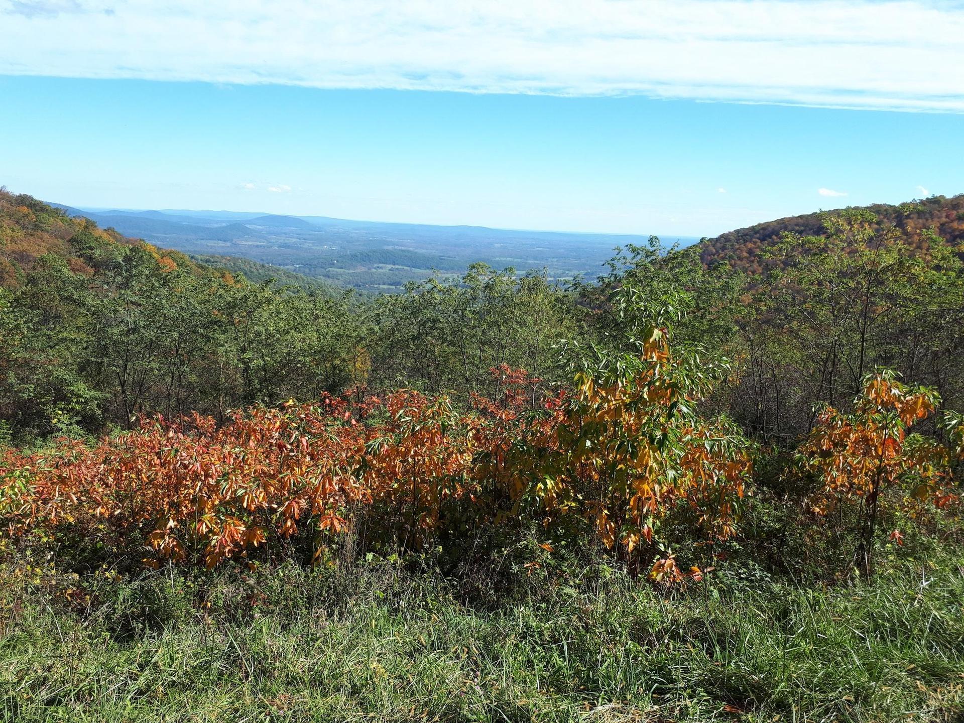 Vibrant autumn foliage on hillsides overlooking a hazy distant valley.