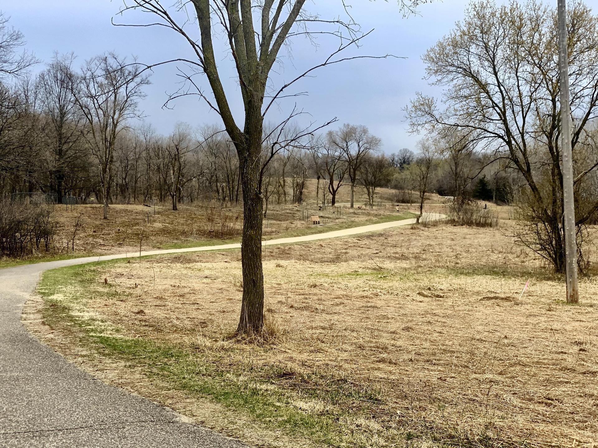 Paved path winding through dry grass and bare trees under an overcast sky.