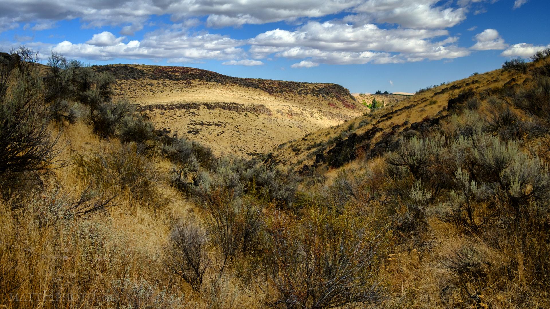 Expansive view of a dry, brush-covered canyon under a bright, cloudy sky.
