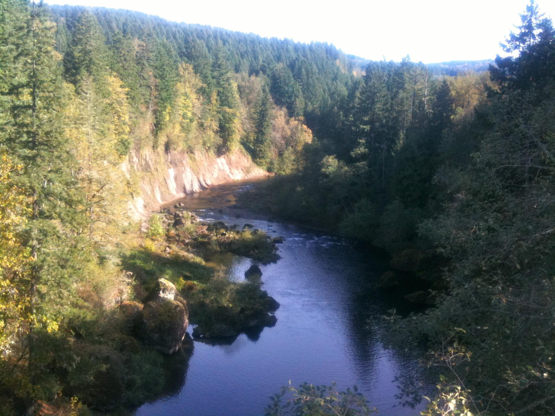River winding through a sunny, forested canyon with steep banks.