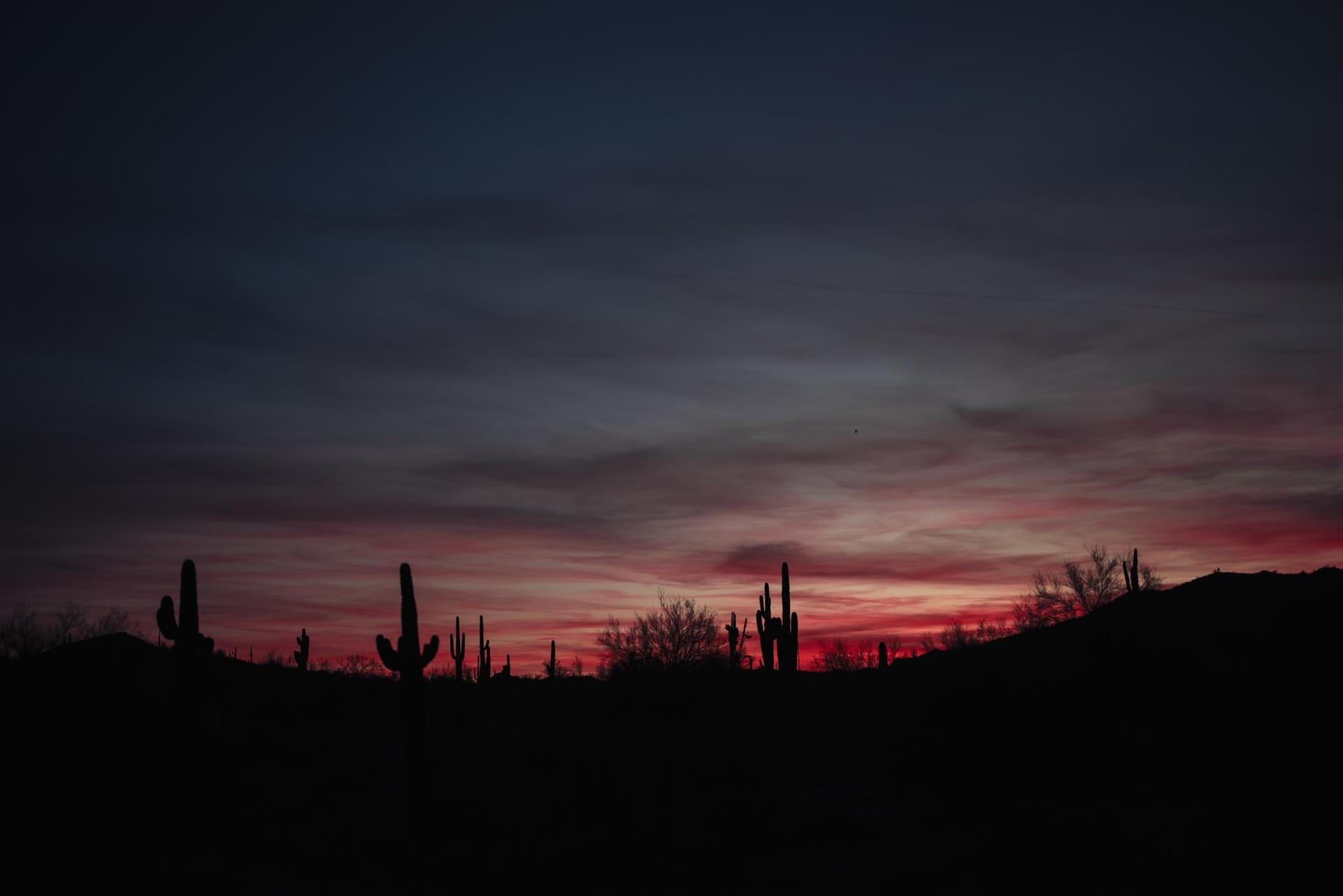 Dramatic desert sunset with silhouetted cacti and hills against a red sky.