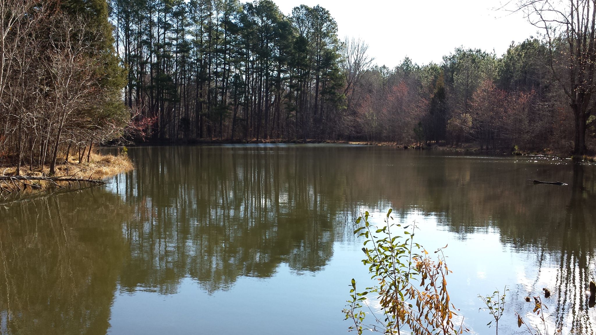 Calm lake reflecting surrounding trees under a bright sky. - Peaks Loop, Jordan Trail, Justice Loop, & Hart Trail run