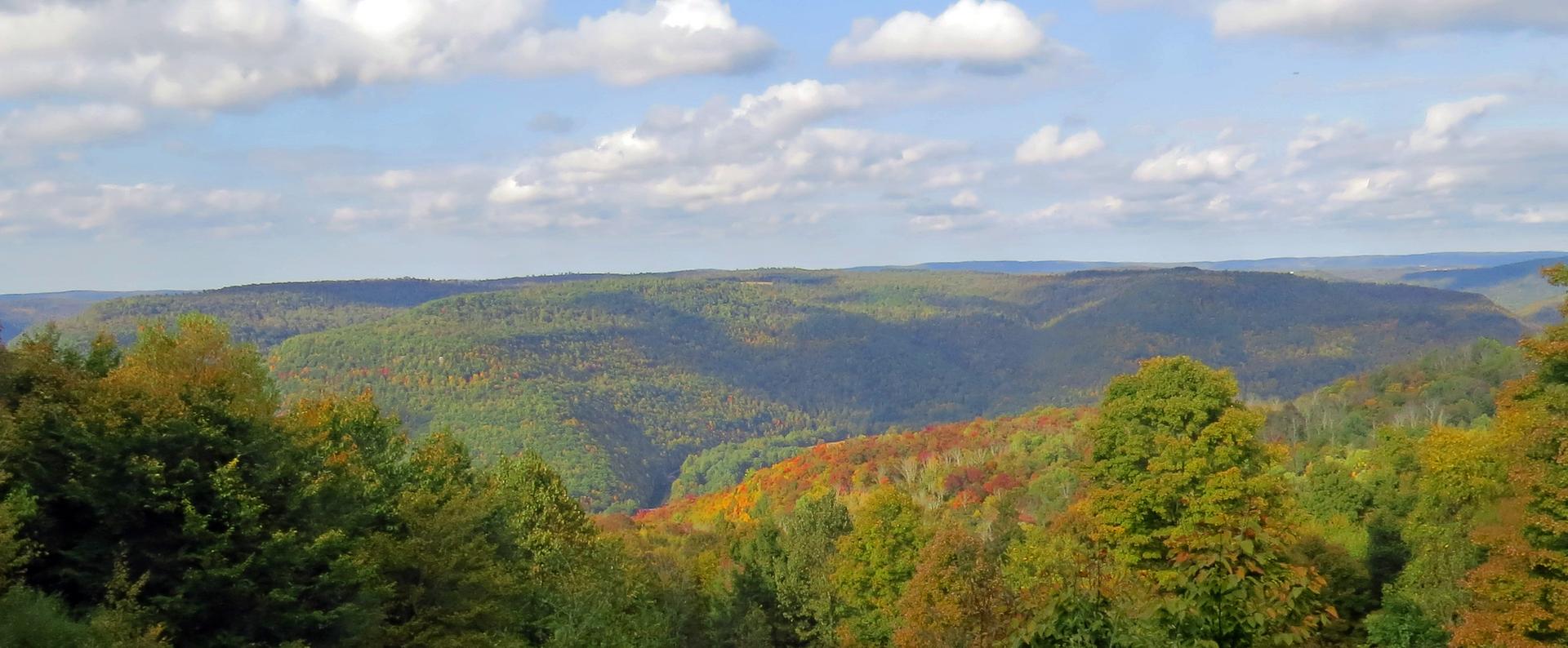 Panoramic view of forested hills under a partly cloudy sky, with autumn colors.