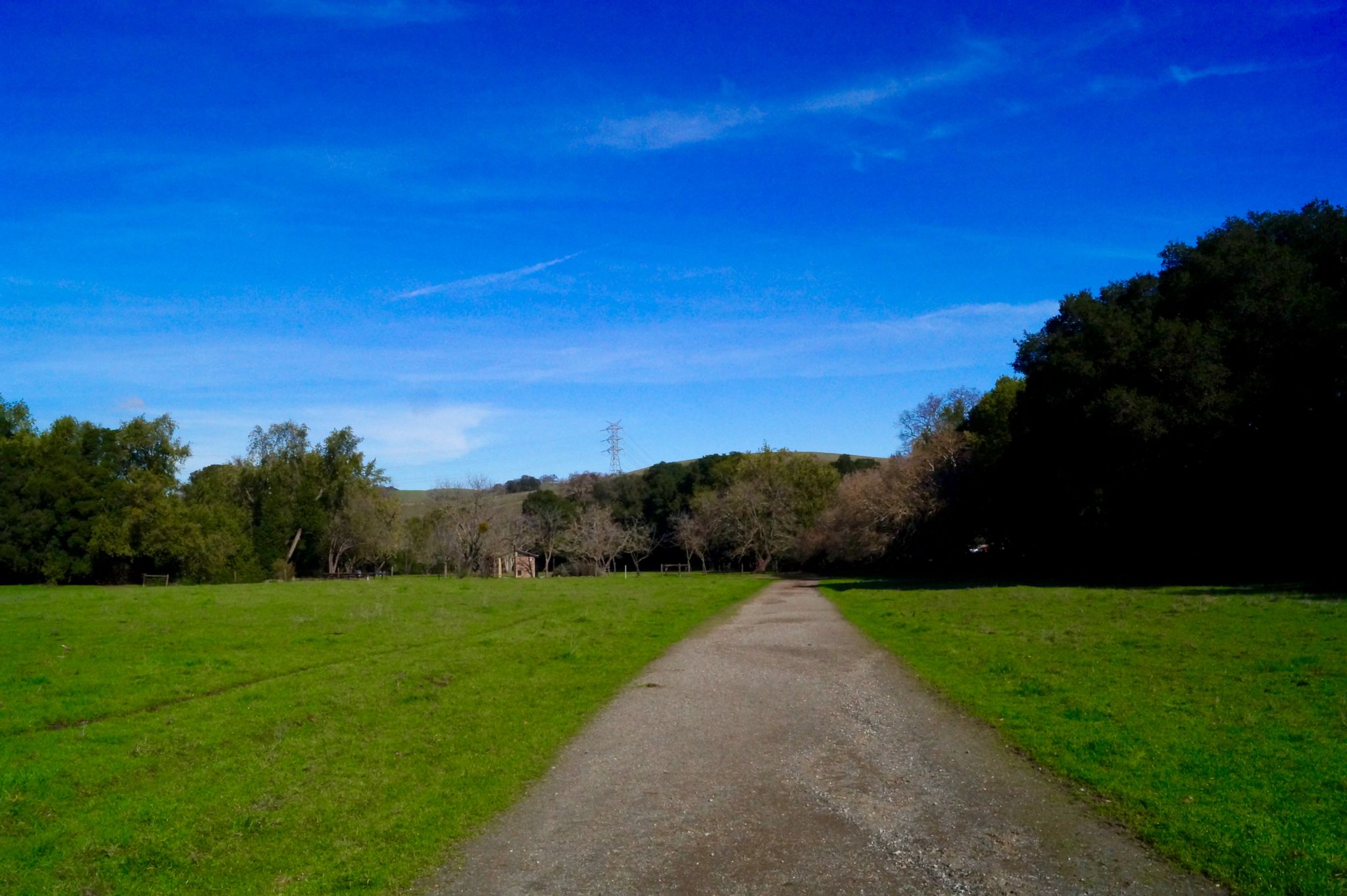 A dirt path through green fields under a bright blue sky, surrounded by trees. - Alhambra Creek, Spengler Trail, and Lagoon Trail Loop