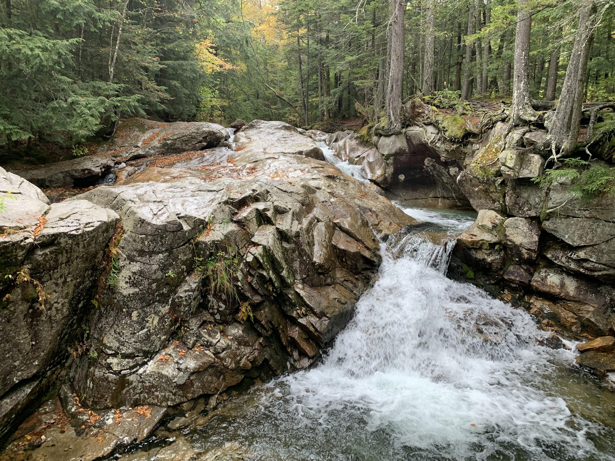 A waterfall cascades over large, mossy rocks in a green forest.