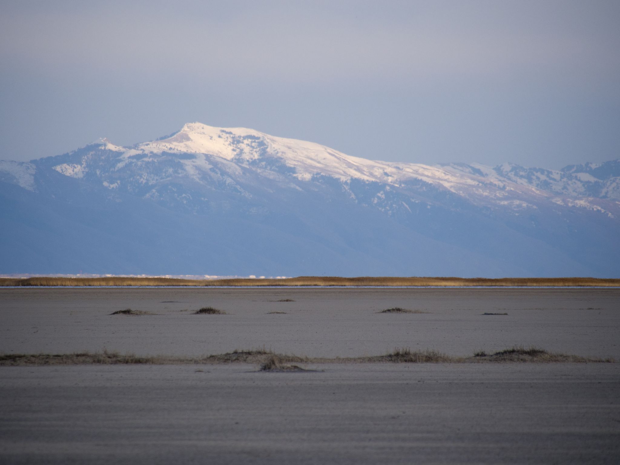 Distant snow-capped mountains rise above a flat, barren landscape under cloudy skies. - Thurston Peak via Francis Peak Road