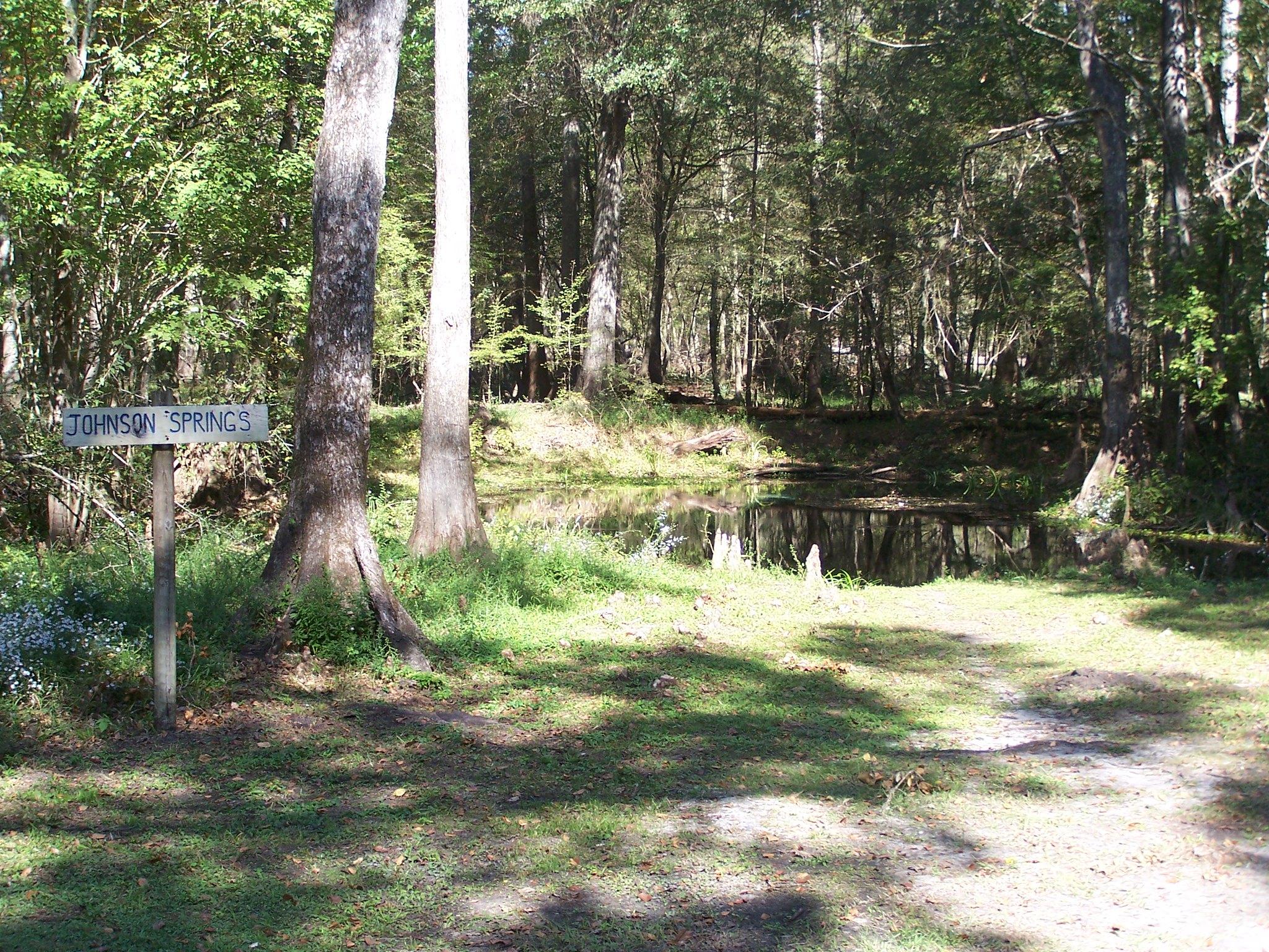 Small dark pond in a dense, sun-dappled forest with a dirt path.