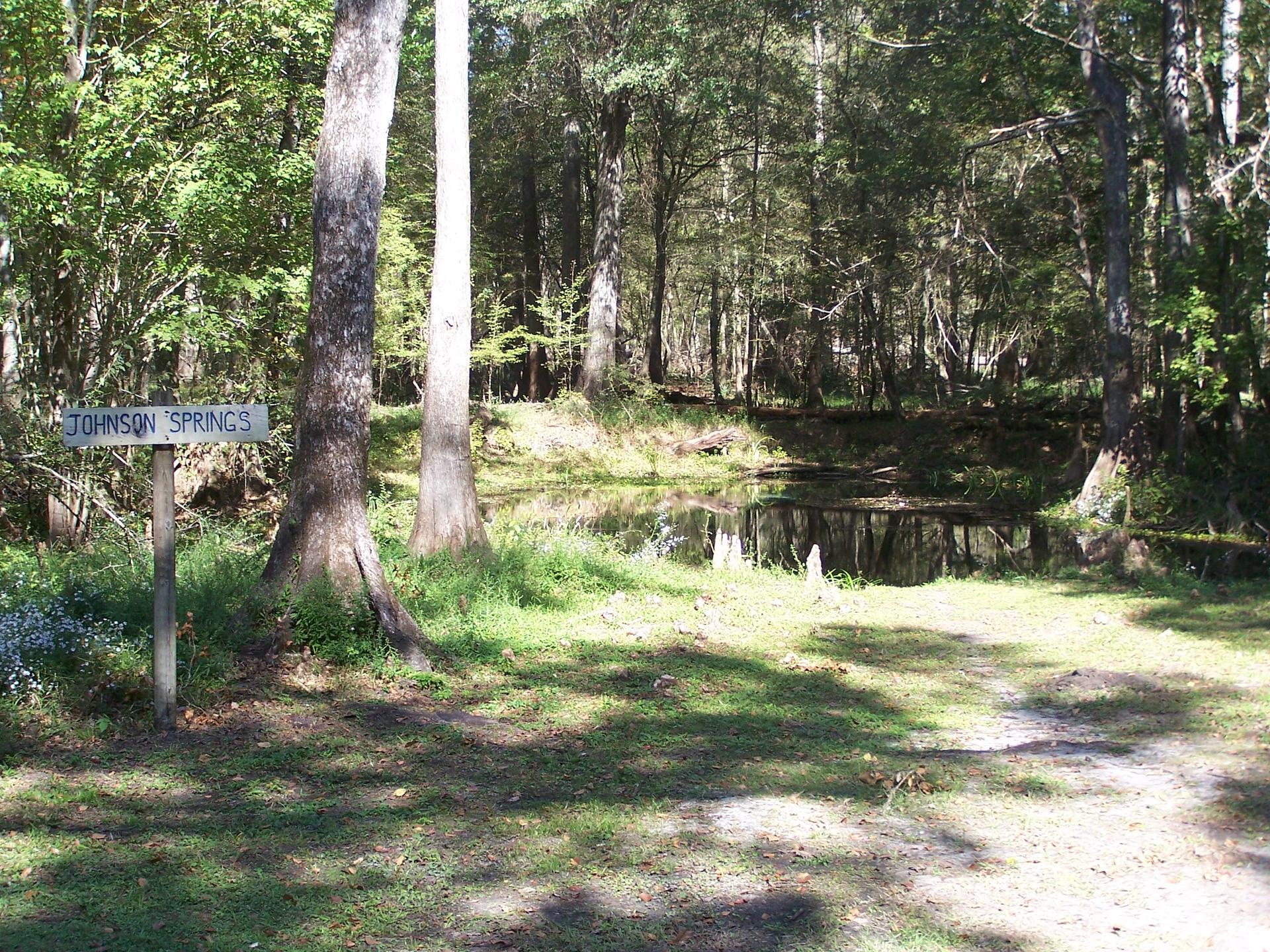 Small dark pond in a dense, sun-dappled forest with a dirt path.