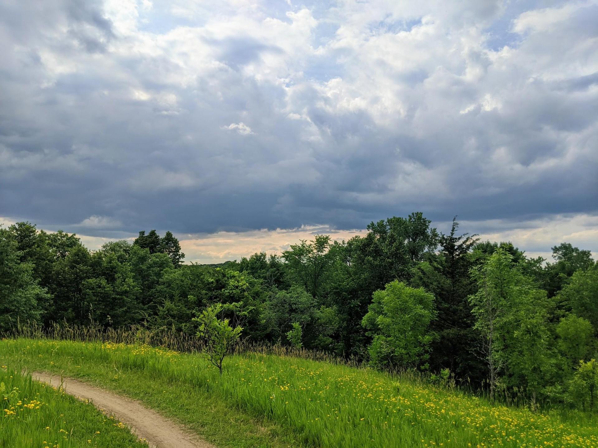 Dirt path winding through green grass and trees under a cloudy sky.