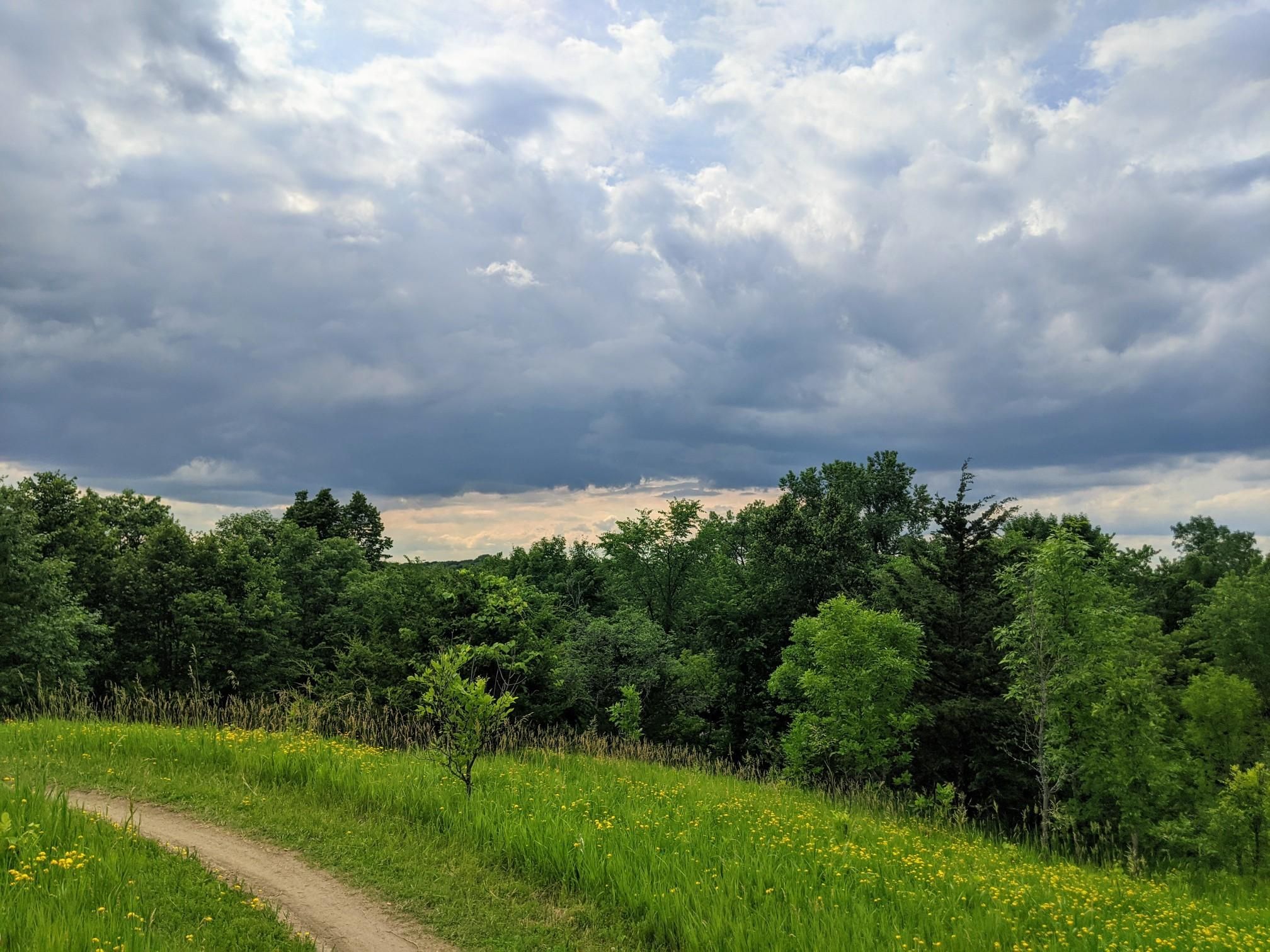 Dirt path winding through green grass and trees under a cloudy sky. - Lake Rebecca Paved Loop
