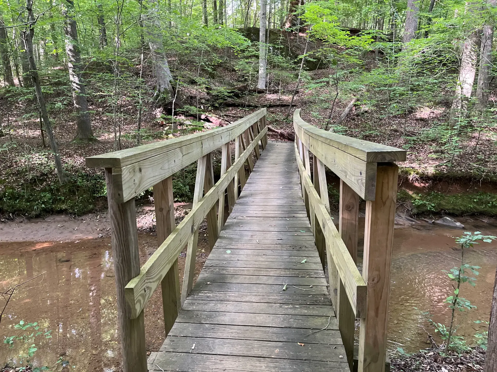 Curved wooden footbridge over a shallow, muddy stream in a forest.