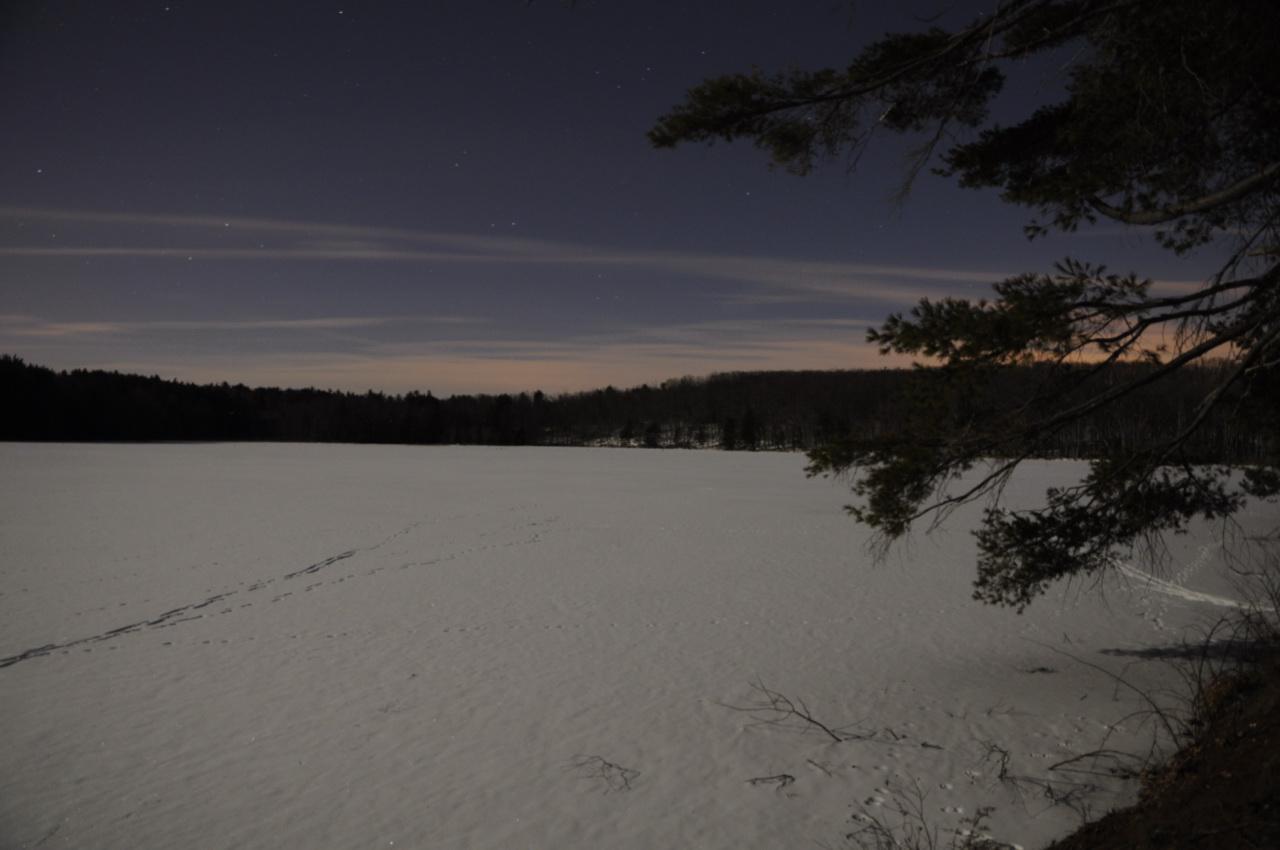 A snow-covered frozen lake at night, with dark trees and a starry sky.