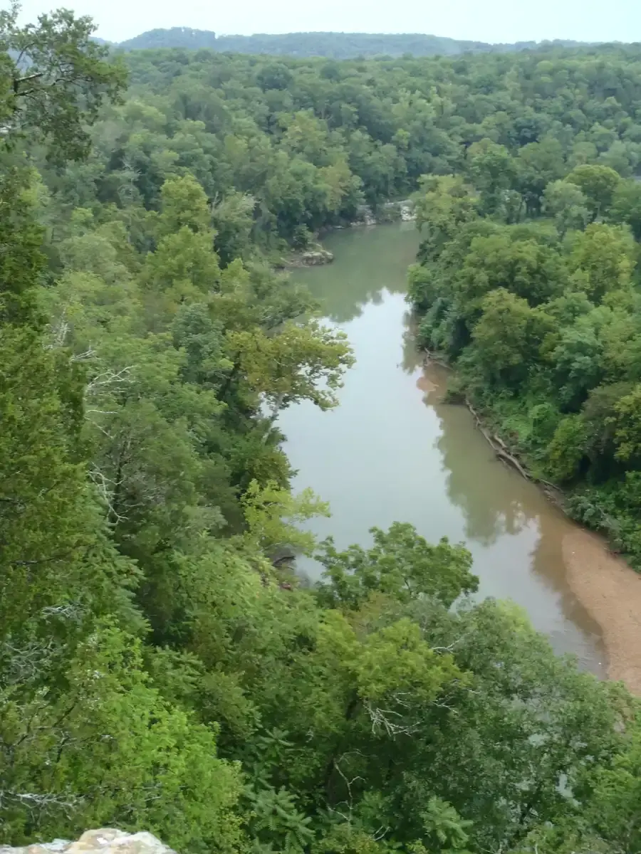 A winding river flows through a dense, green forest under overcast skies.