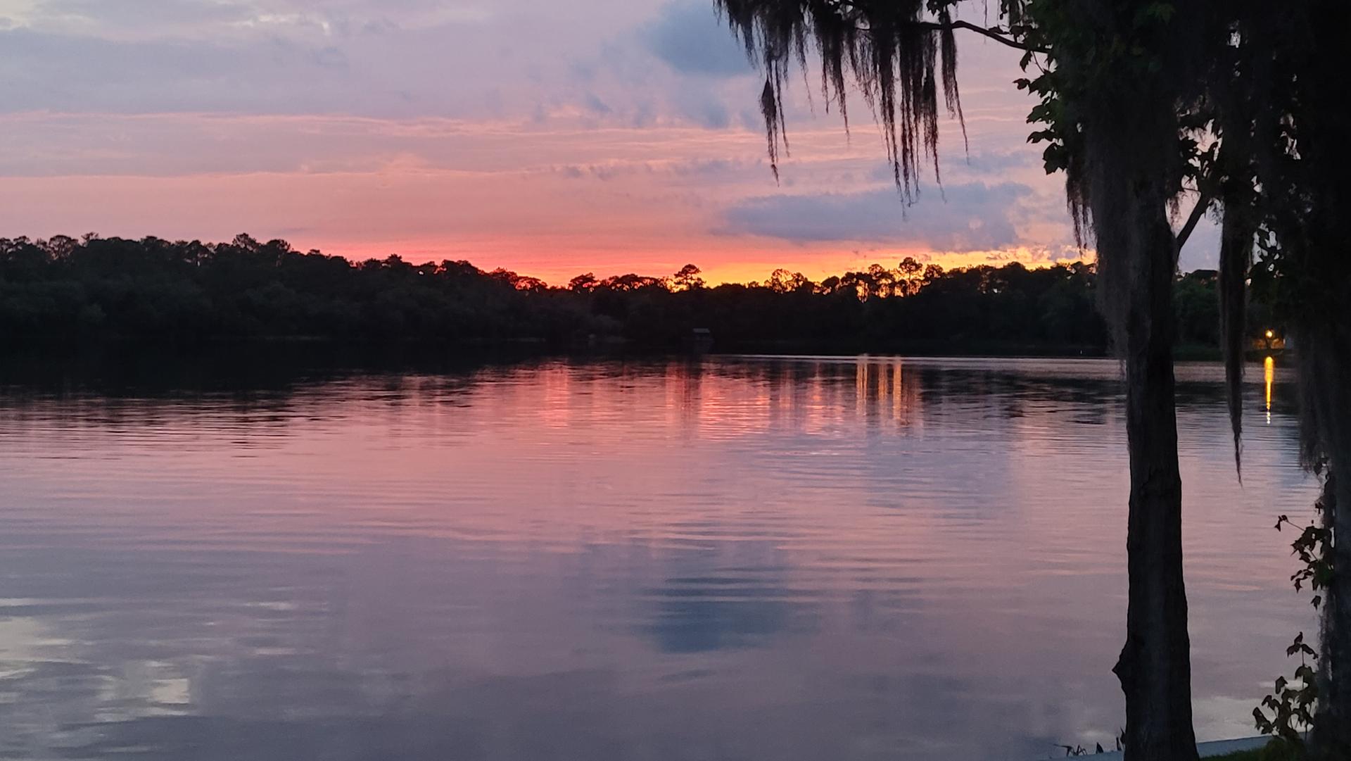 Vibrant sunset over a calm lake, with trees and Spanish moss.