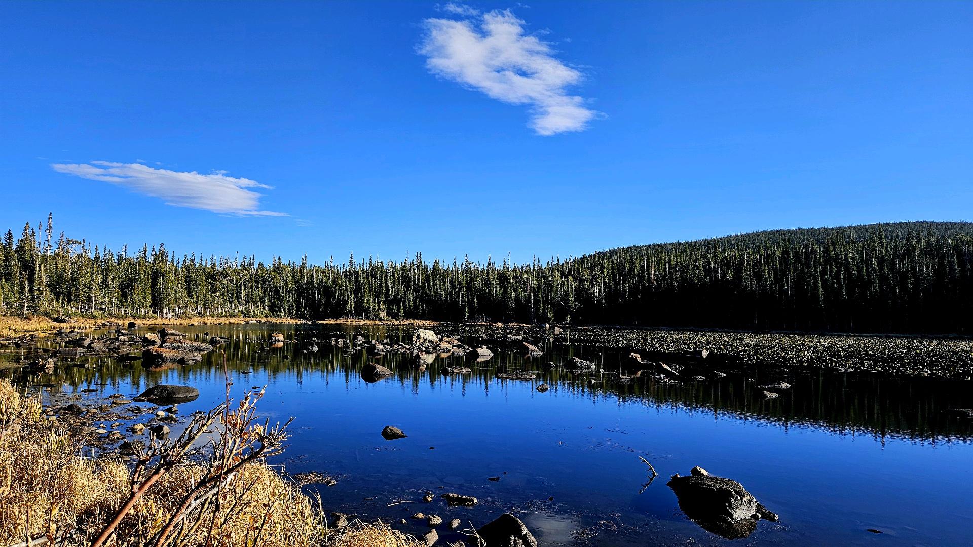 Bright blue sky over a calm lake reflecting a dense forest.
