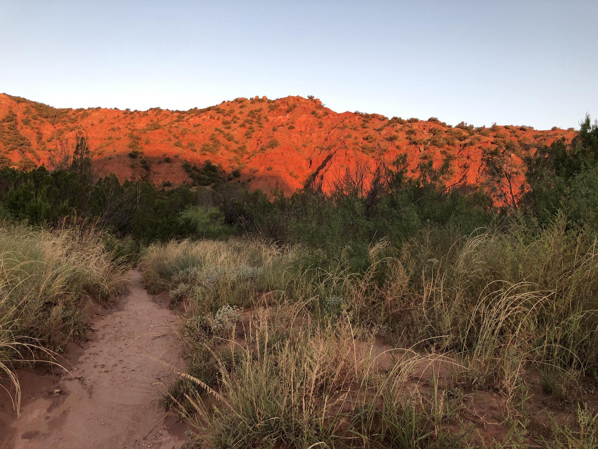 Dirt path leading to sunlit red rock hills with sparse vegetation.
