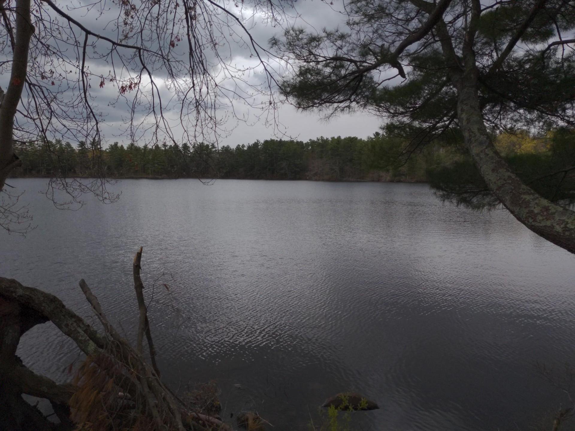 Dark lake under cloudy sky, framed by bare and pine tree branches.