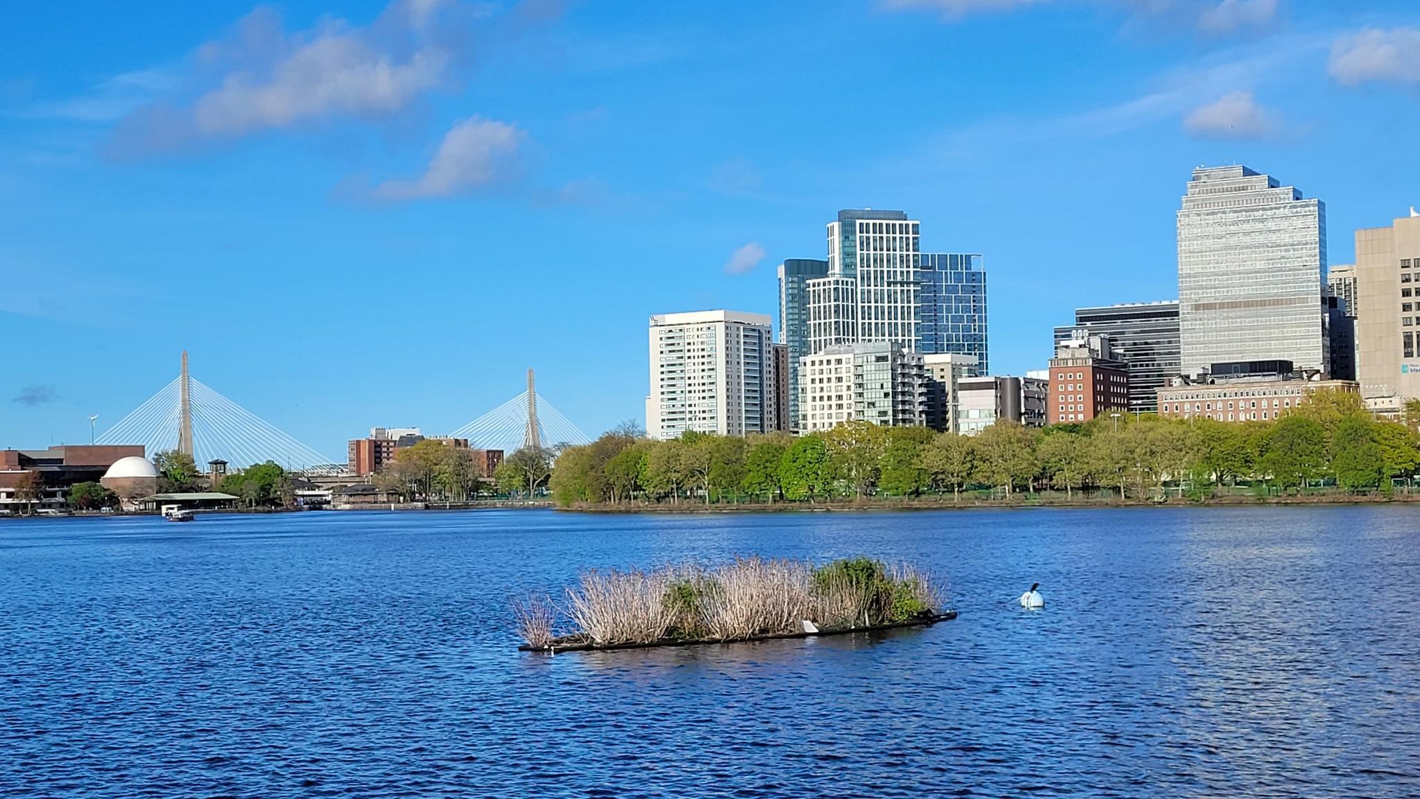 City skyline across a wide river with a small grassy island, bright day.