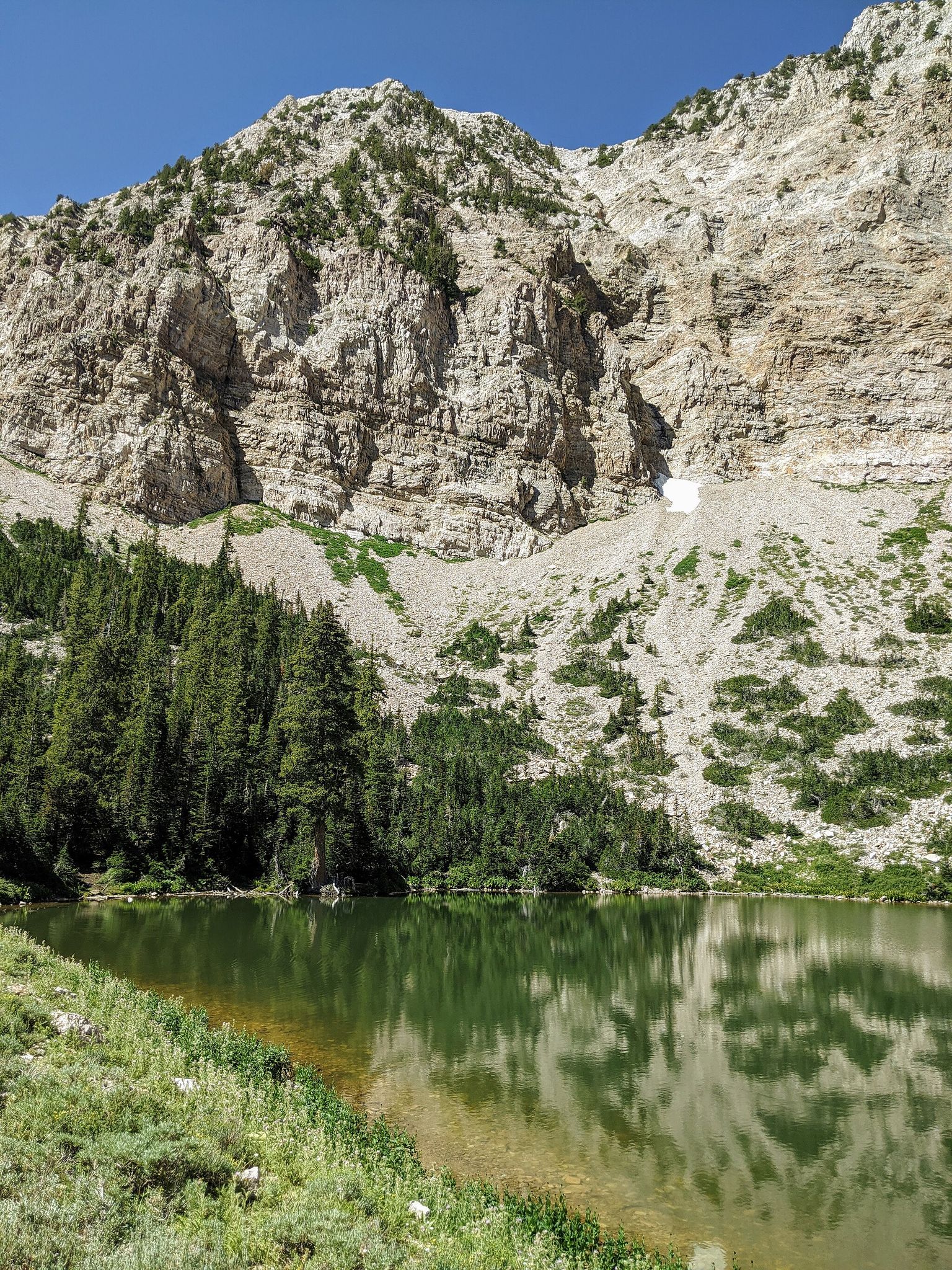 Clear mountain lake reflecting rocky cliffs and pine trees on a sunny day. - South Willow Lake via Stansbury Crest Trail