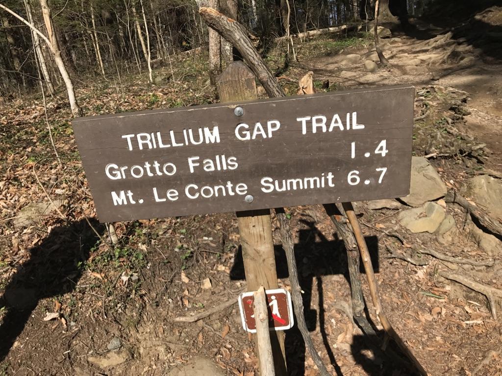 A wooden trail sign with text on a sunny forest path.