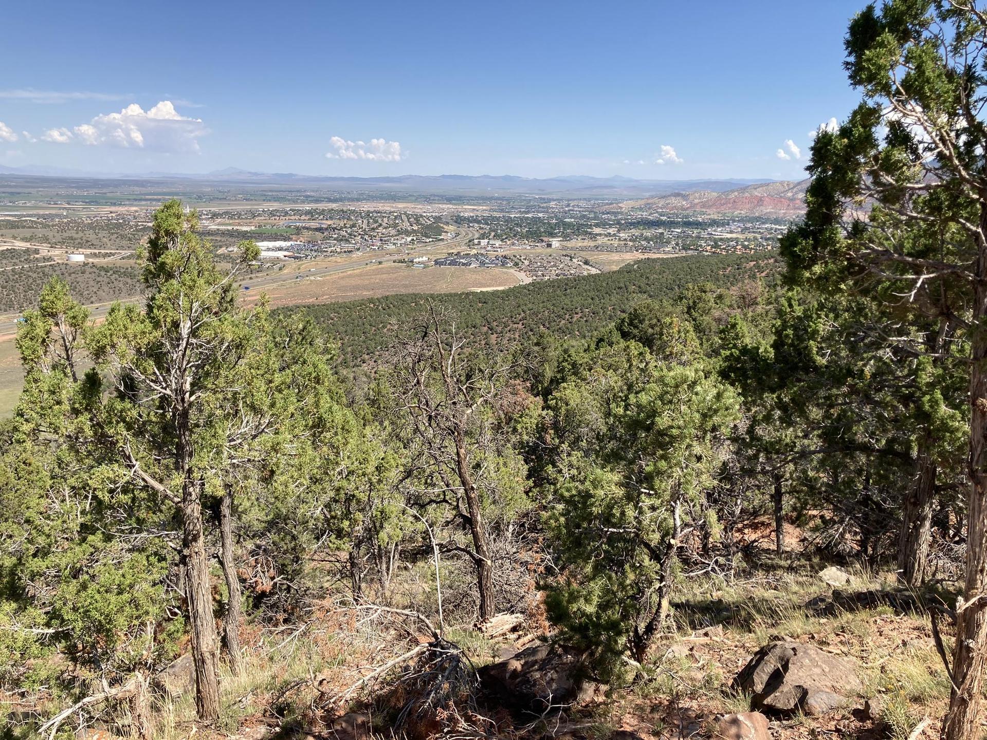 Panoramic view from a hill, evergreen trees overlooking a valley and distant town.