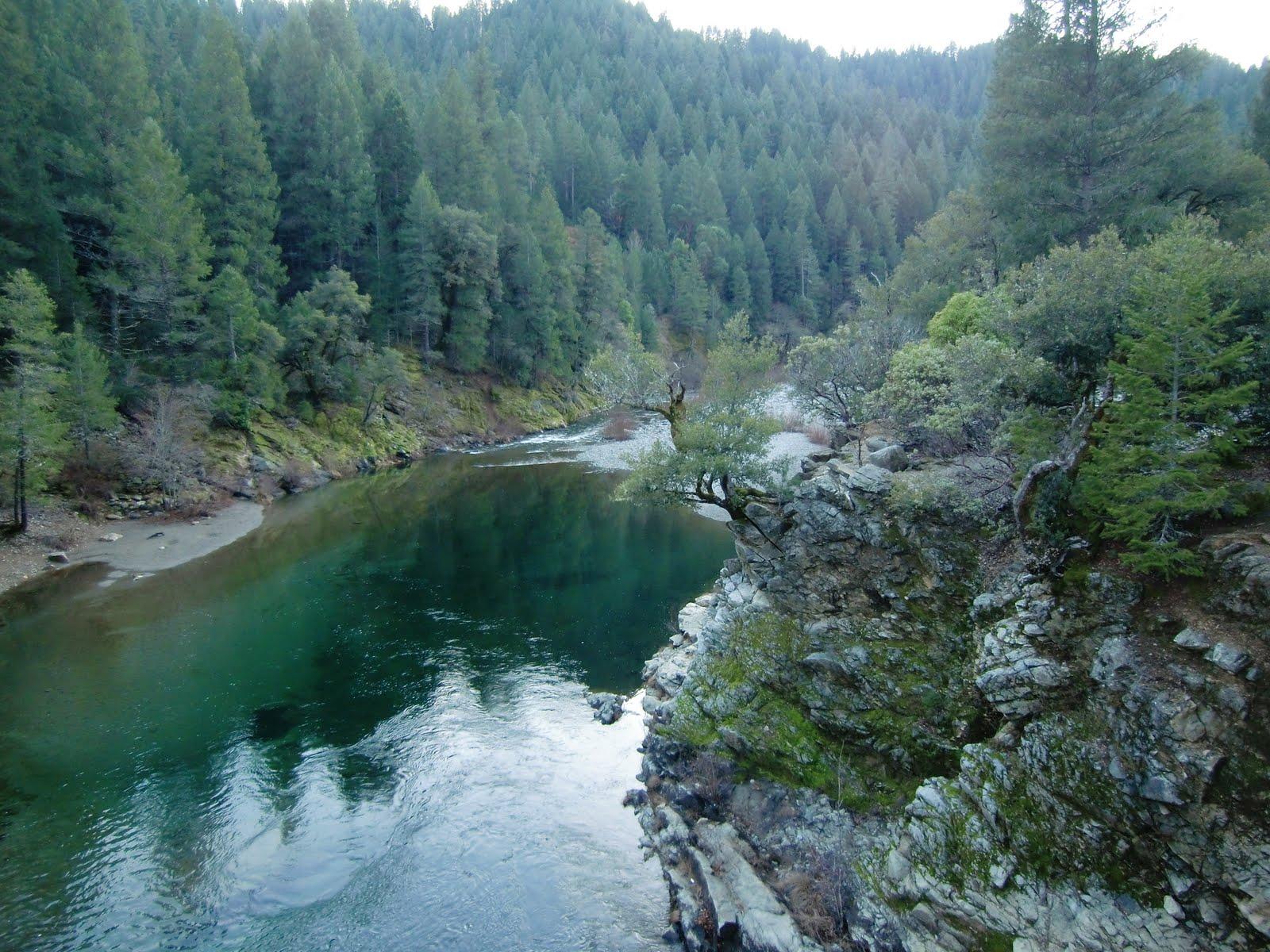 Clear green river flowing through a forested canyon with steep rocky banks.