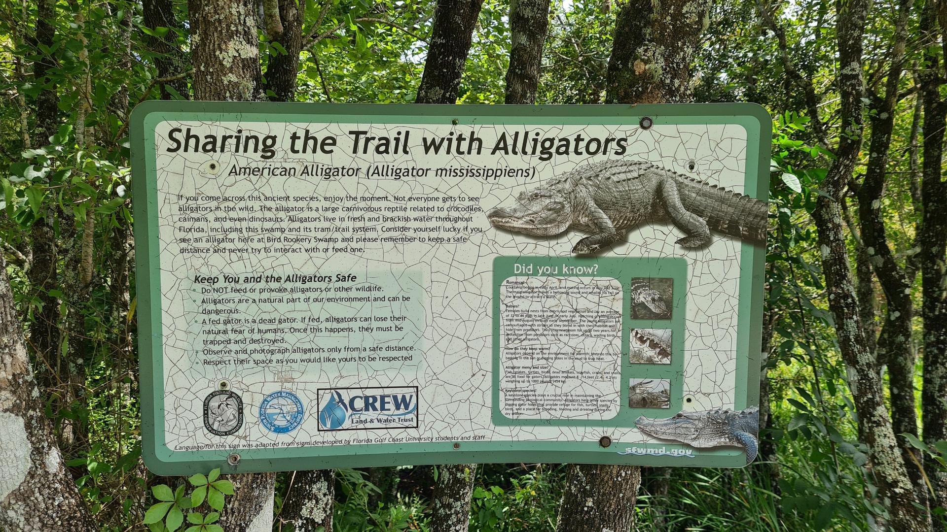 An informational sign about sharing trails with alligators, surrounded by green foliage.