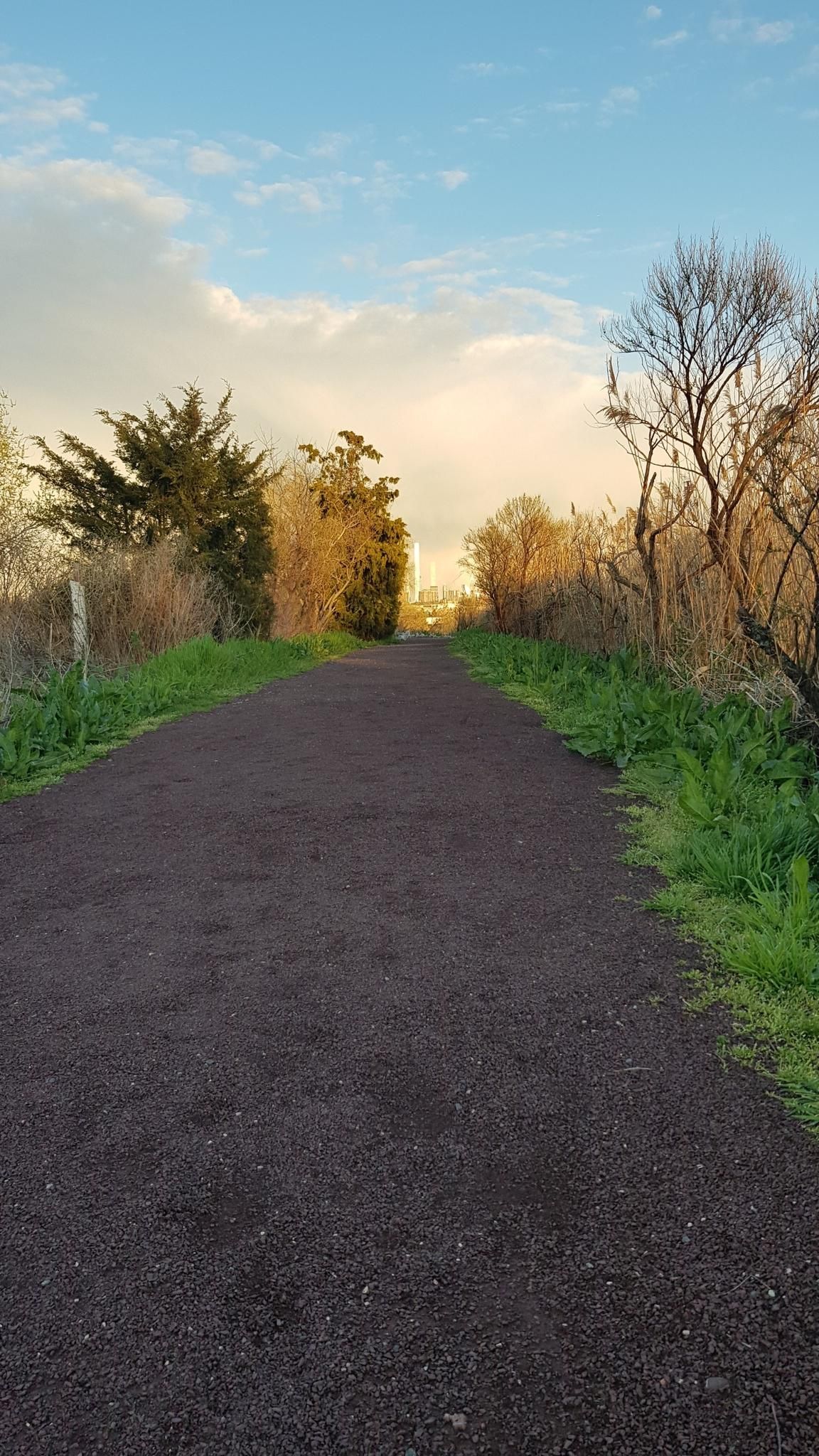 Straight dirt path through green and brown foliage under a bright sky. - Mill Creek Marsh Trail