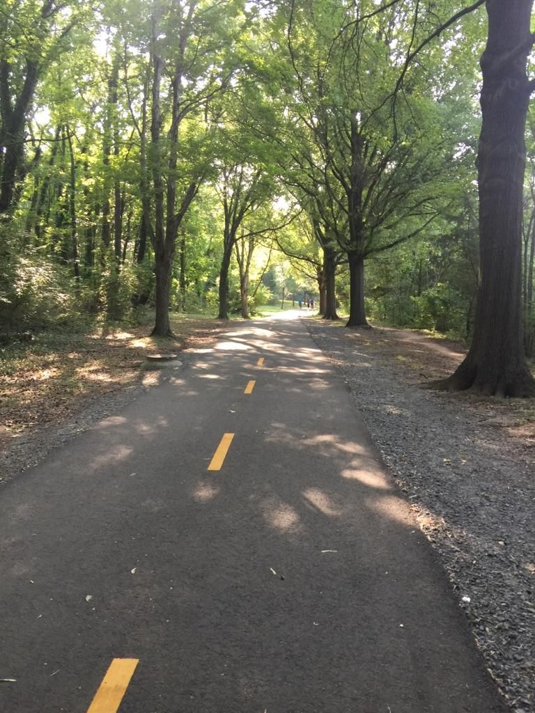 Sunlit paved path with yellow lines, lined by tall trees, distant figures. - Holmes Run Trail