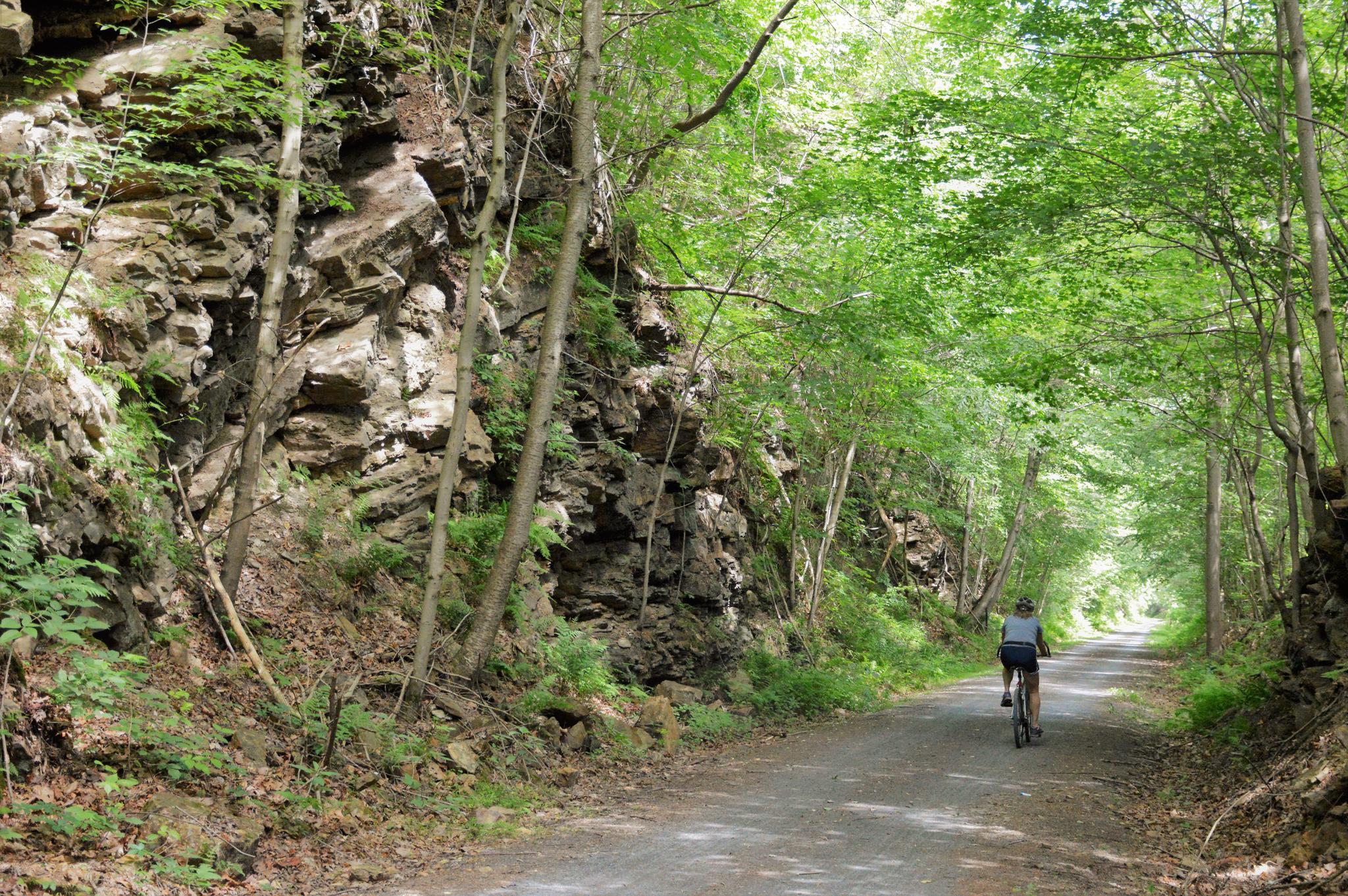 Person cycling on a sun-dappled dirt path beside a rocky cliff.