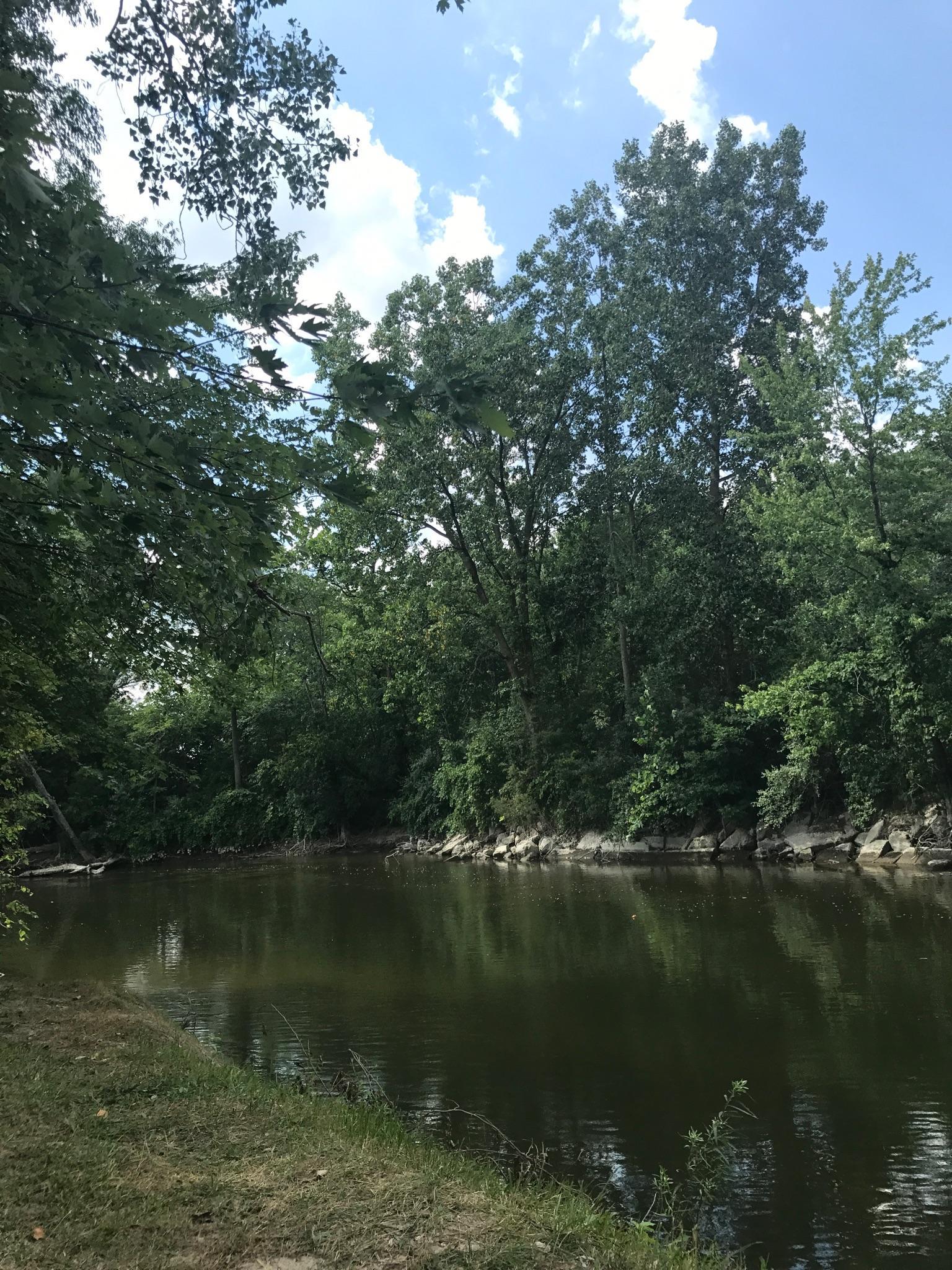 Calm river surrounded by dense green trees under a bright sky.